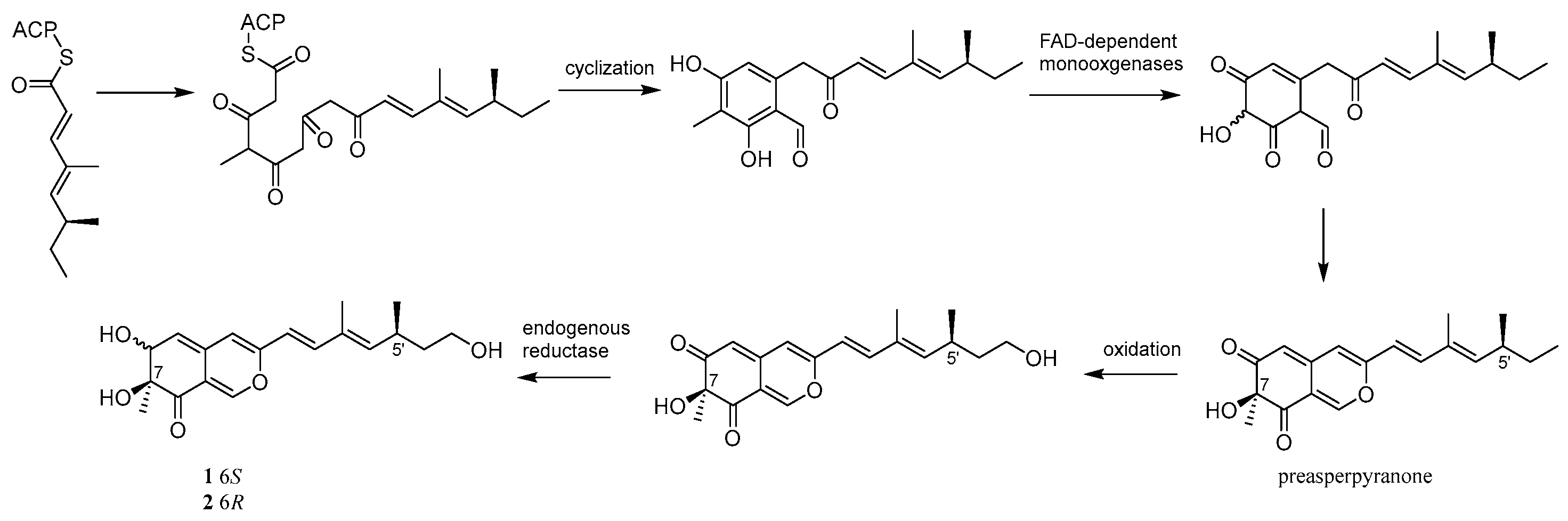 Jof 08 01024 sch001 550