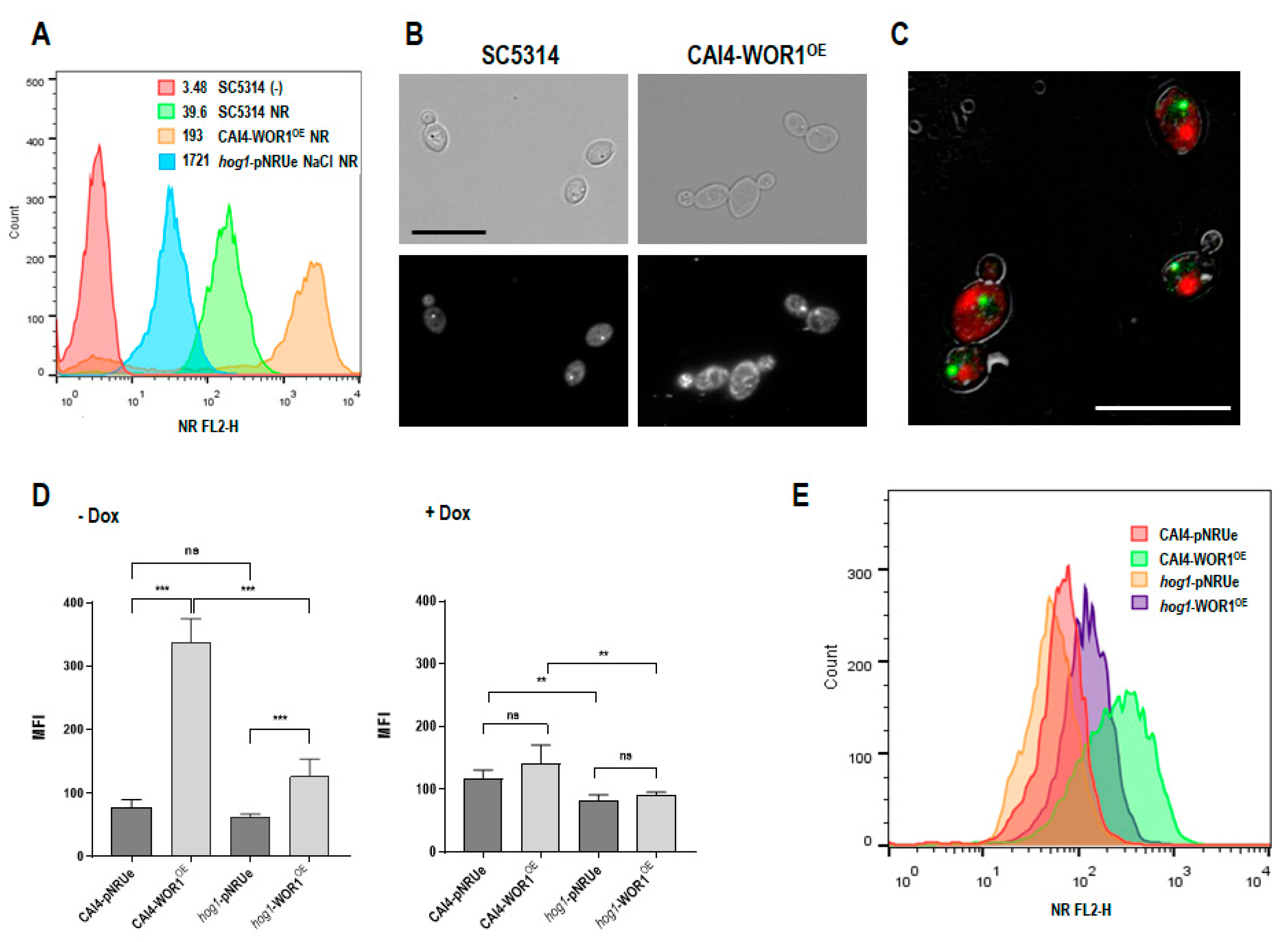 Jof 08 01028 g001 Jof 08 01028 g001