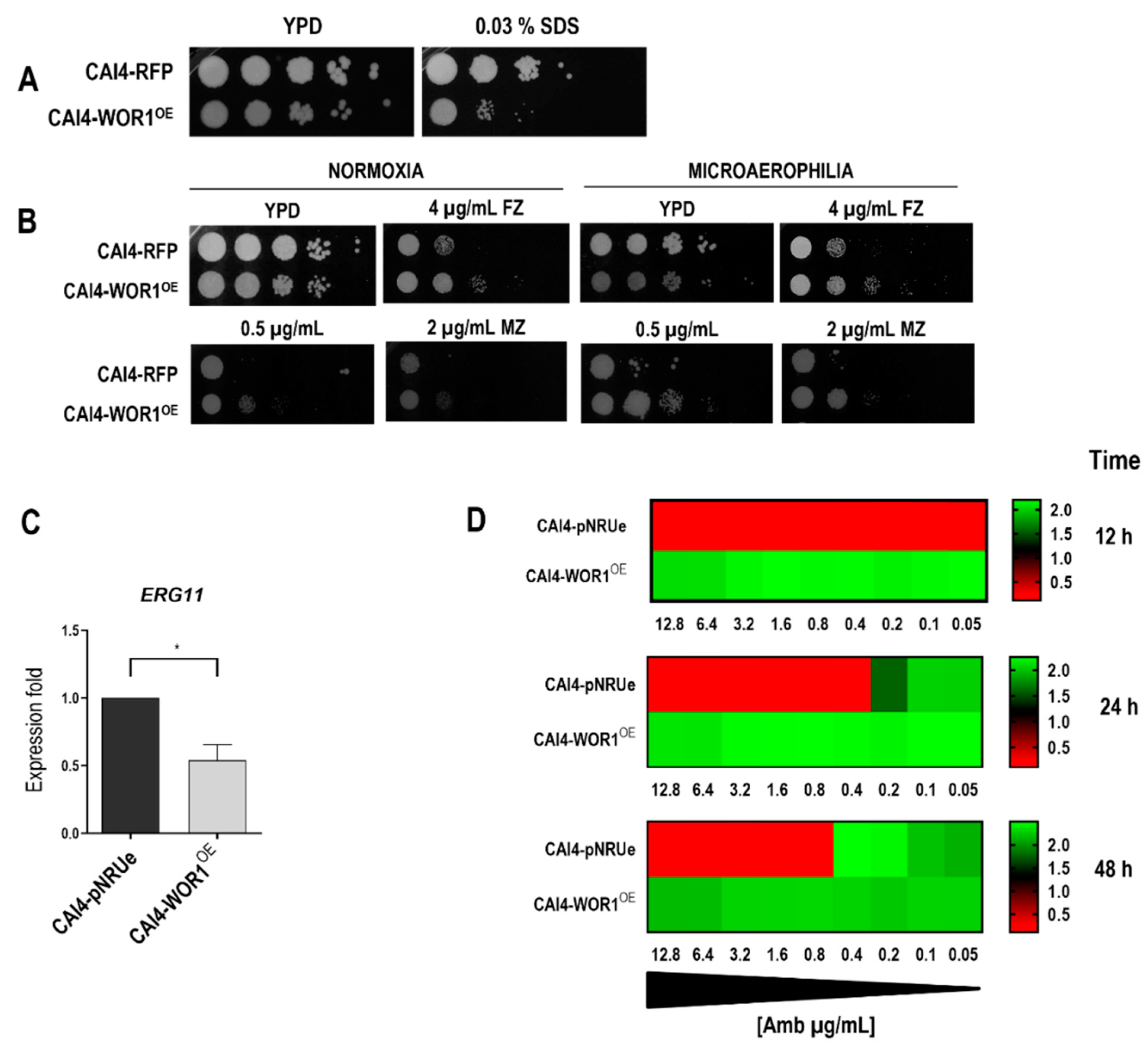 Jof 08 01028 g004 Jof 08 01028 g004