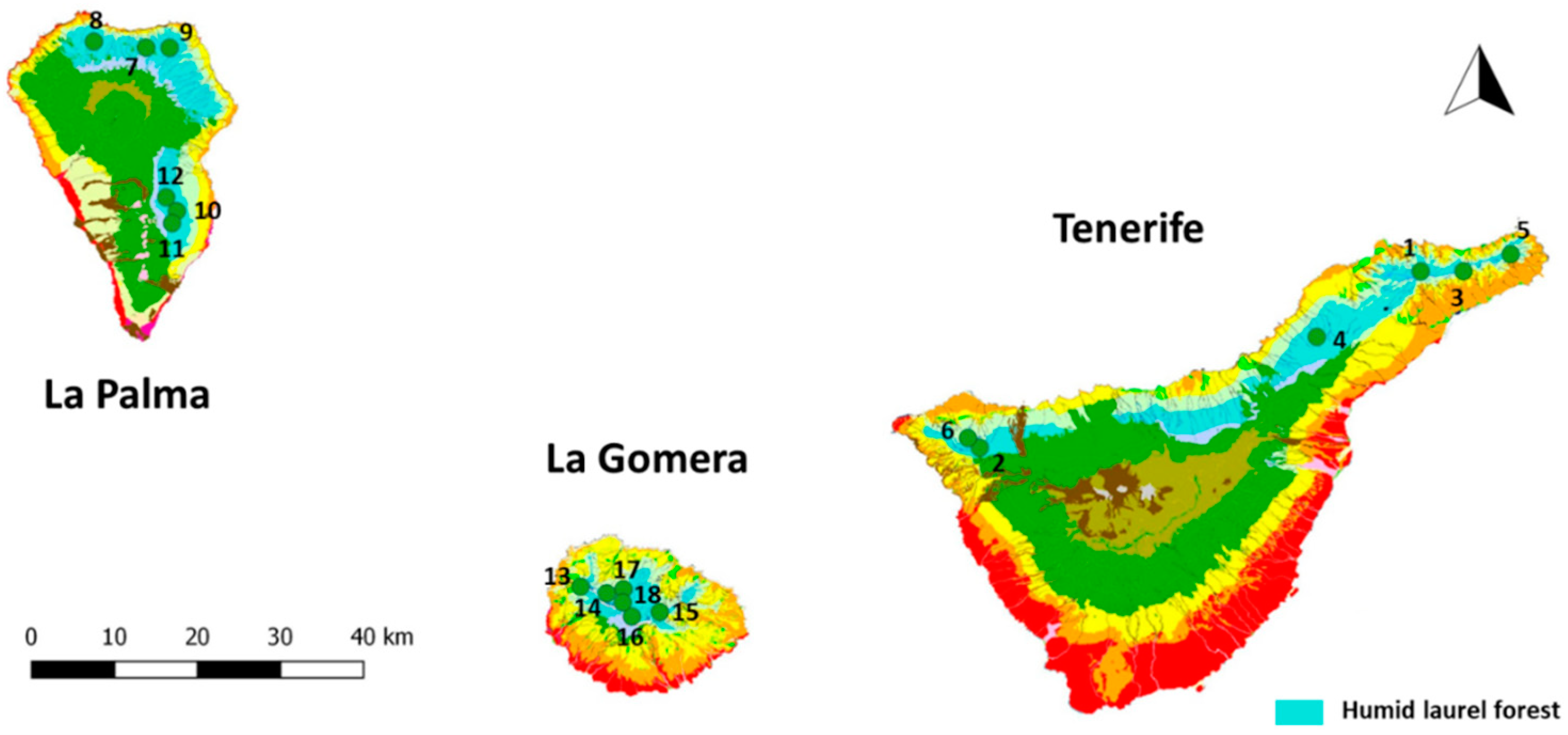 Figure 1.Field plots installed on potential area of humid laurel forest. in...