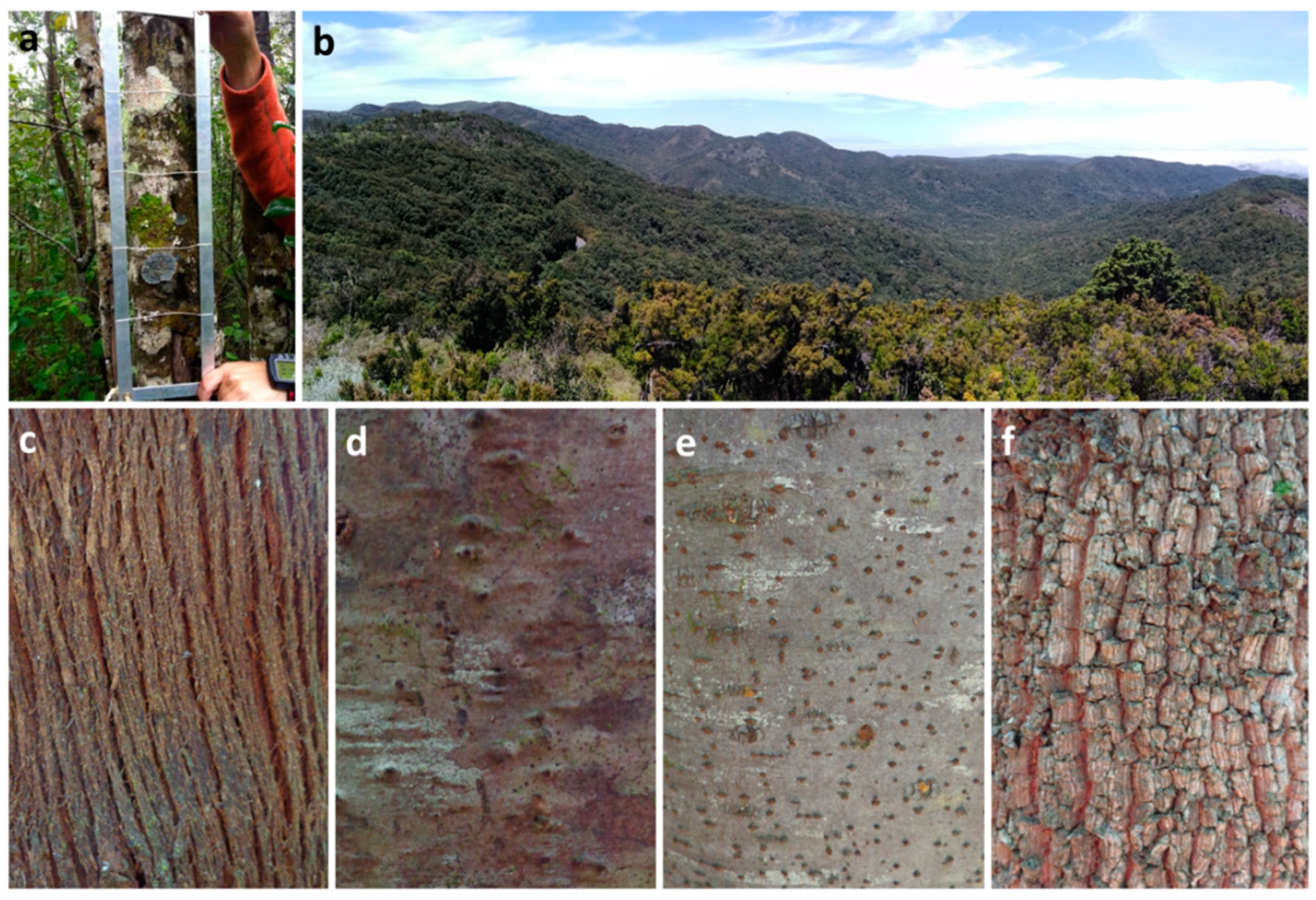 Jof 08 01031 g002 Jof 08 01031 g002