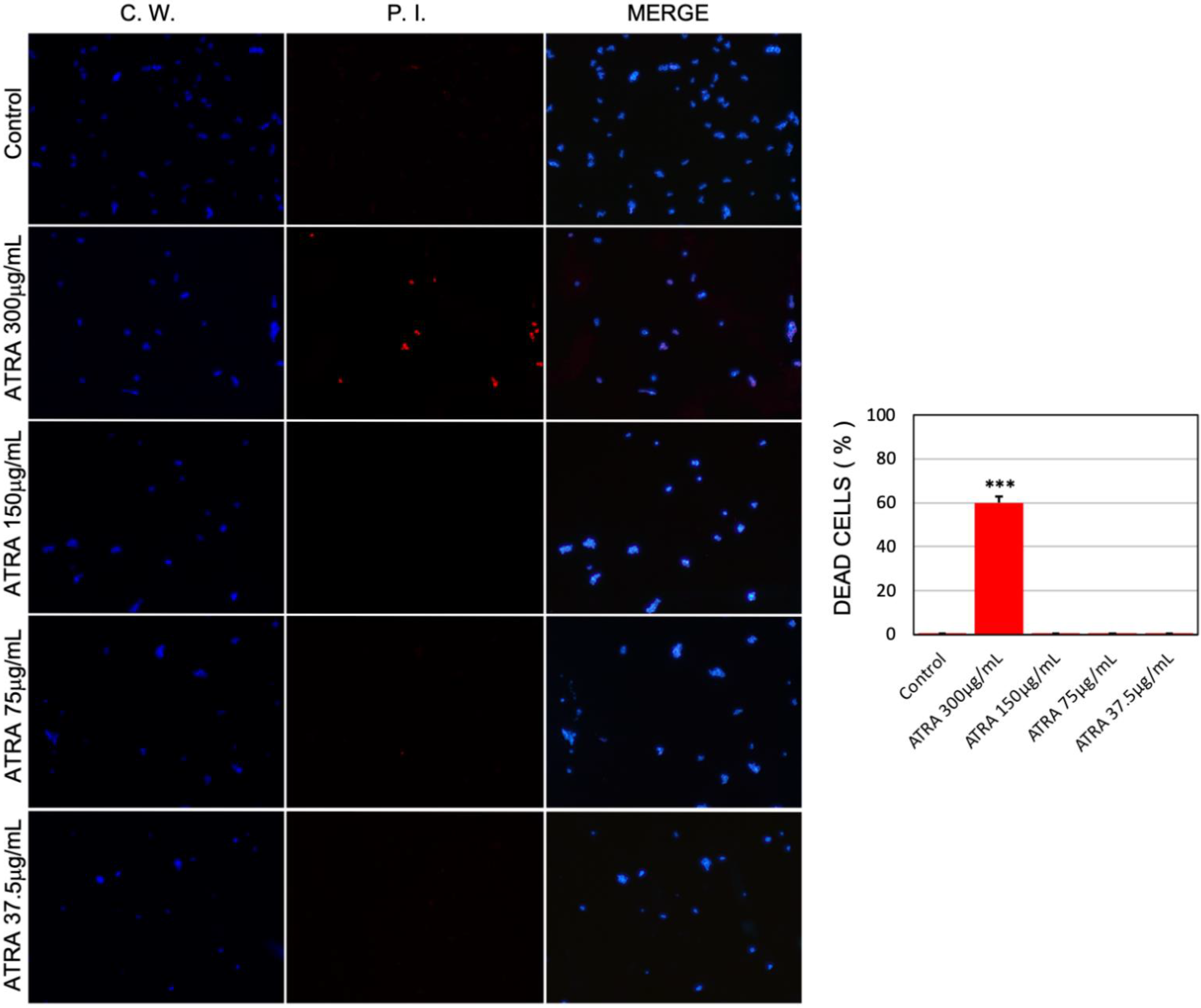 Jof 08 01049 g003 Jof 08 01049 g003