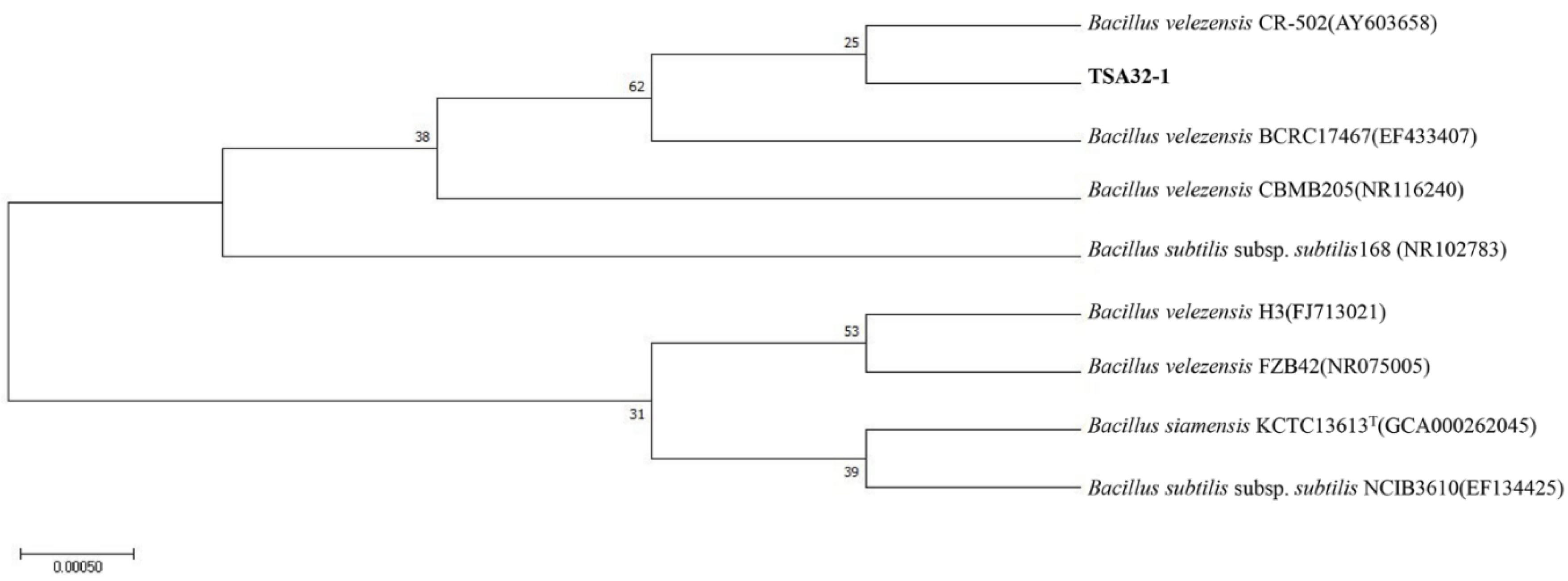 Jof 08 01053 g001 Jof 08 01053 g001