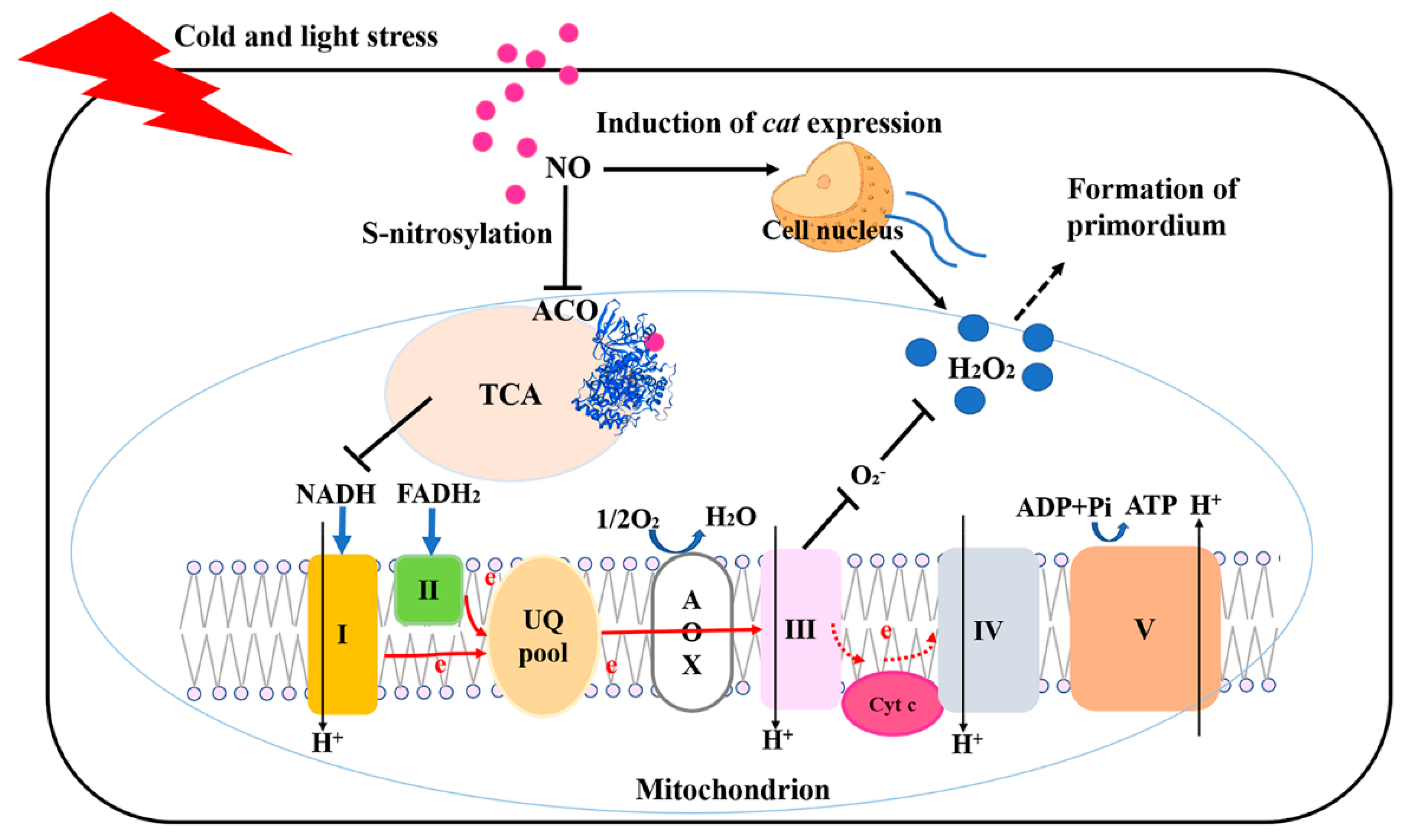 Jof 08 01055 g008 Jof 08 01055 g008