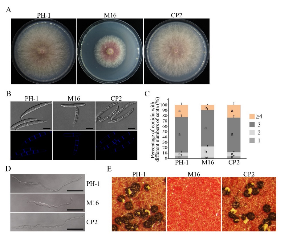 Jof 08 01056 g001 Jof 08 01056 g001