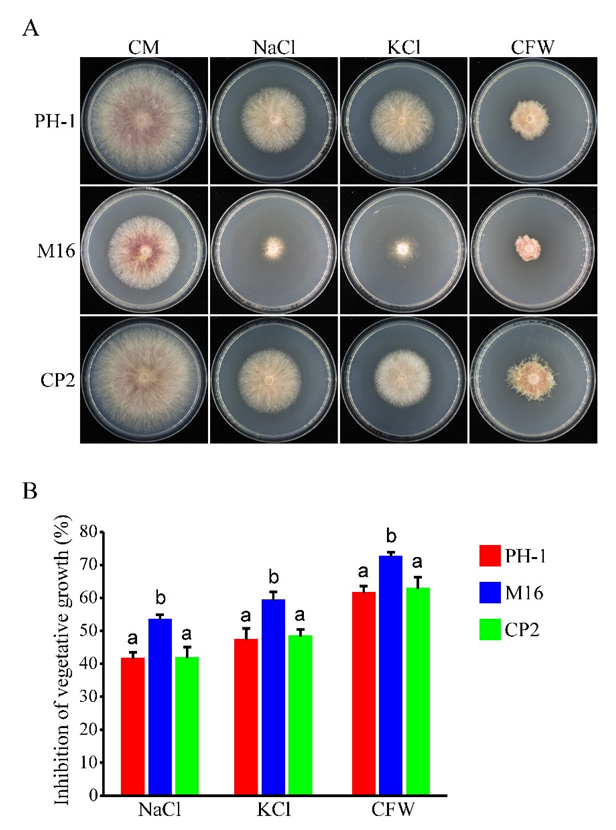 Jof 08 01056 g003 Jof 08 01056 g003