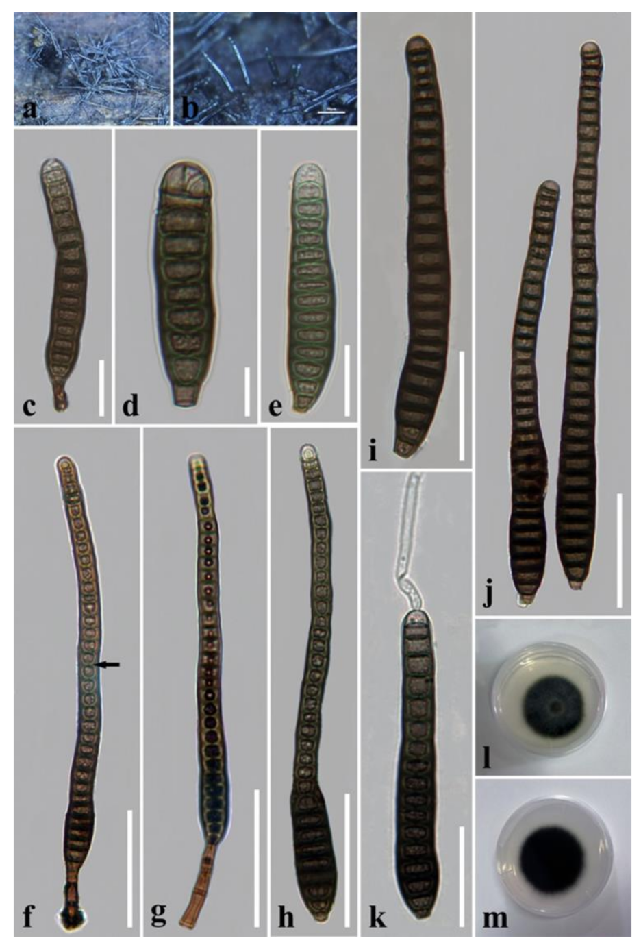 Jof 08 01063 g015 Jof 08 01063 g015