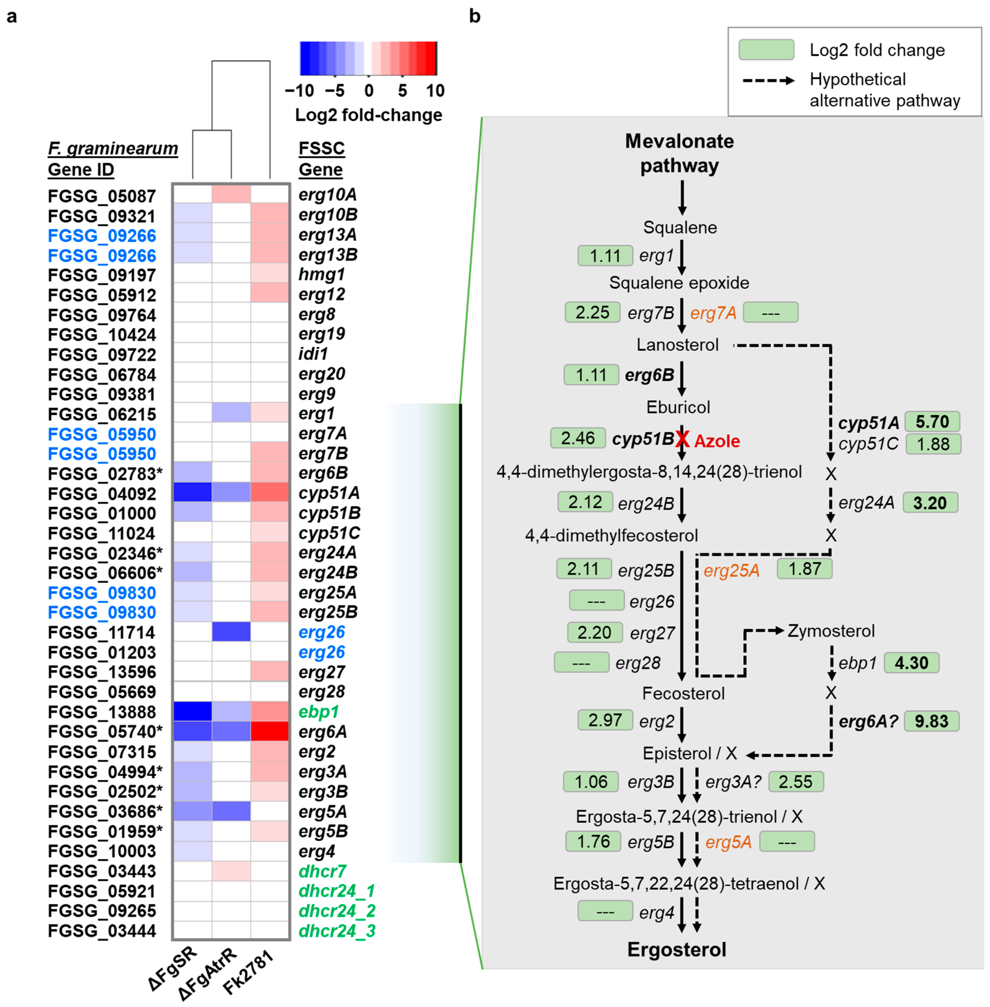 Jof 08 01070 g005 Jof 08 01070 g005
