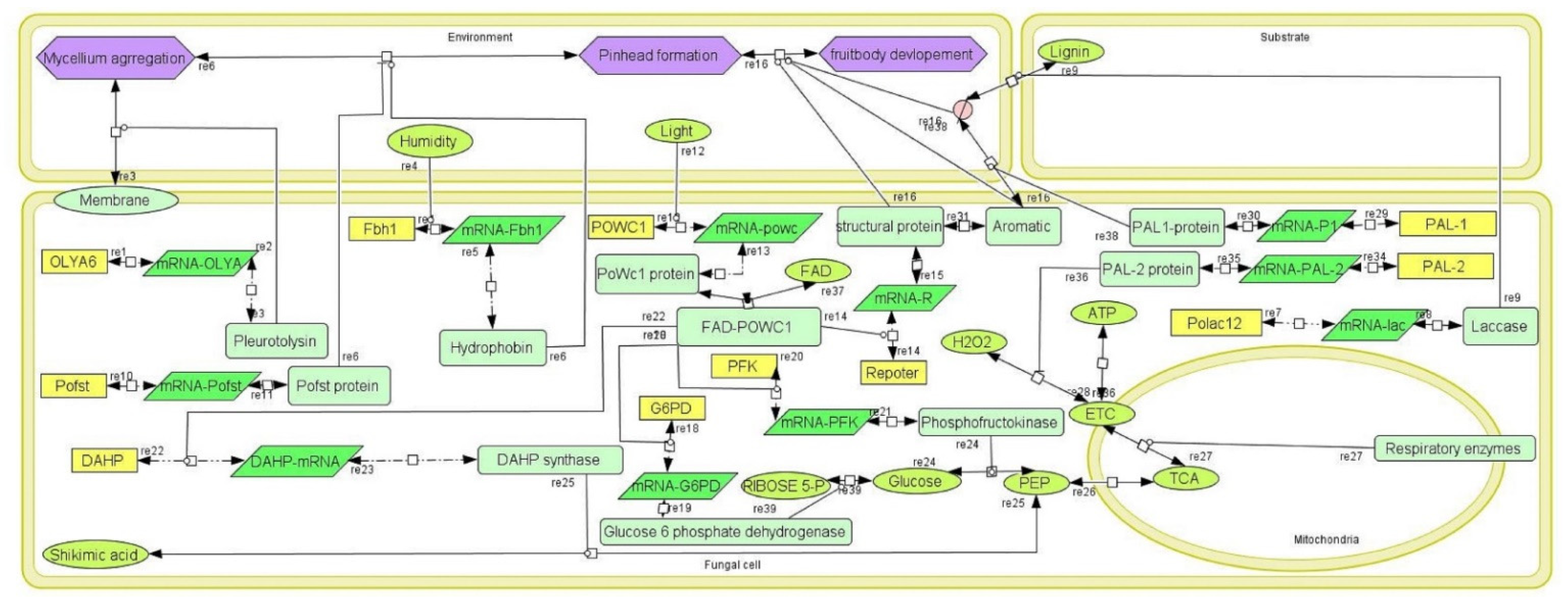 Jof 08 01073 g002 Jof 08 01073 g002