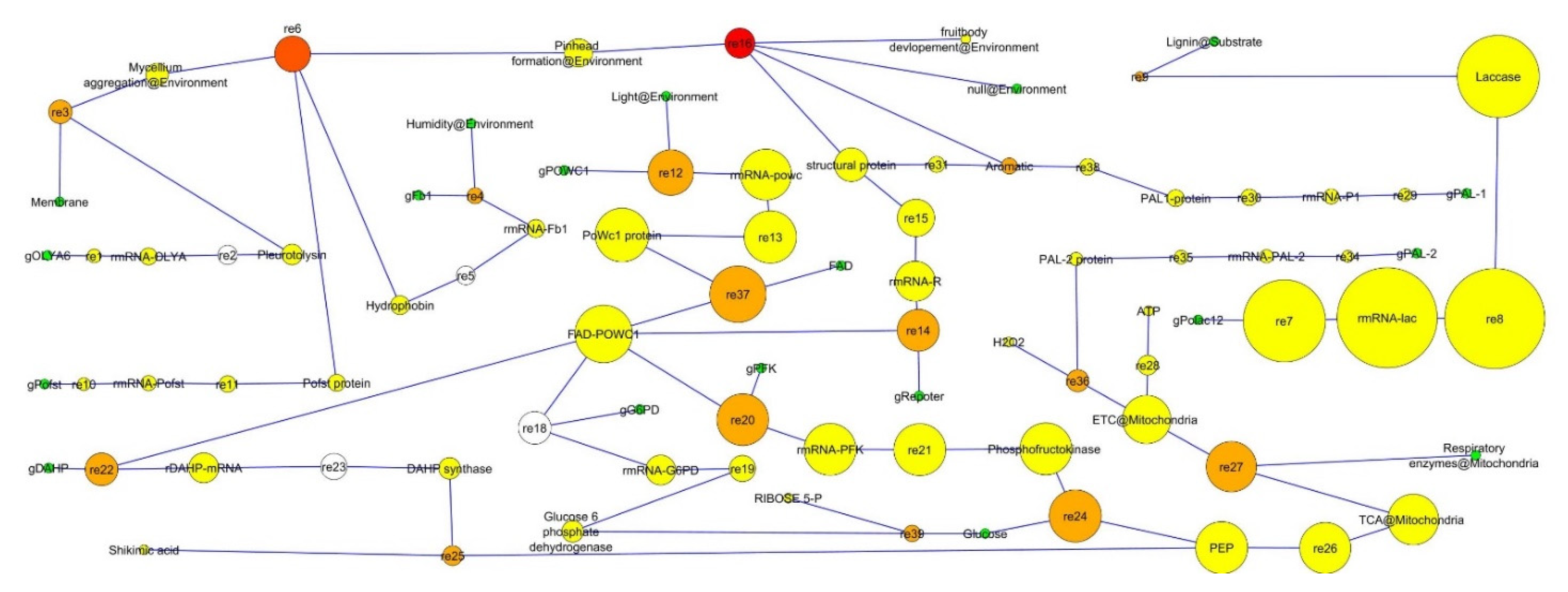 Jof 08 01073 g006 Jof 08 01073 g006