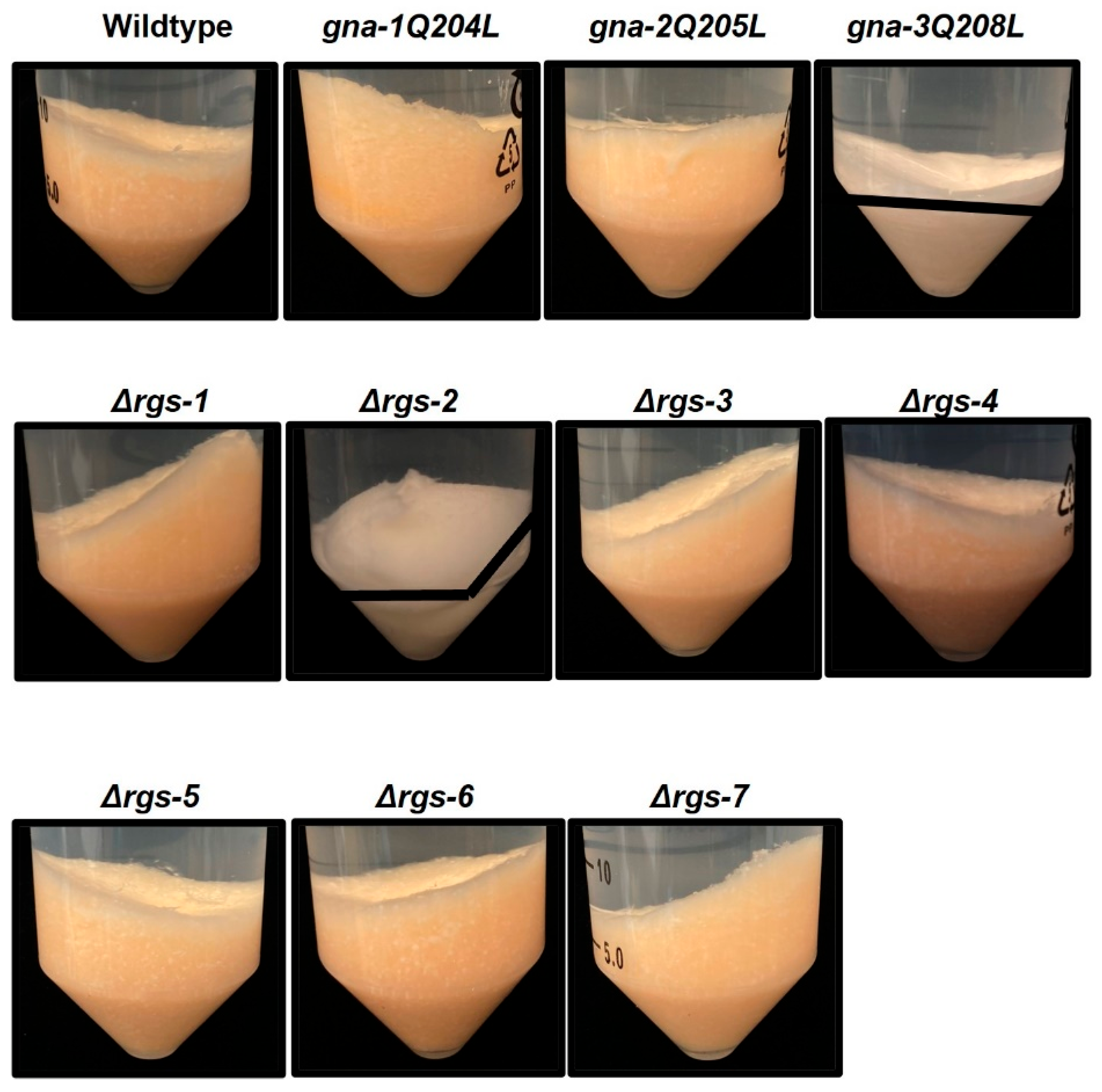 Jof 08 01076 g003 Jof 08 01076 g003