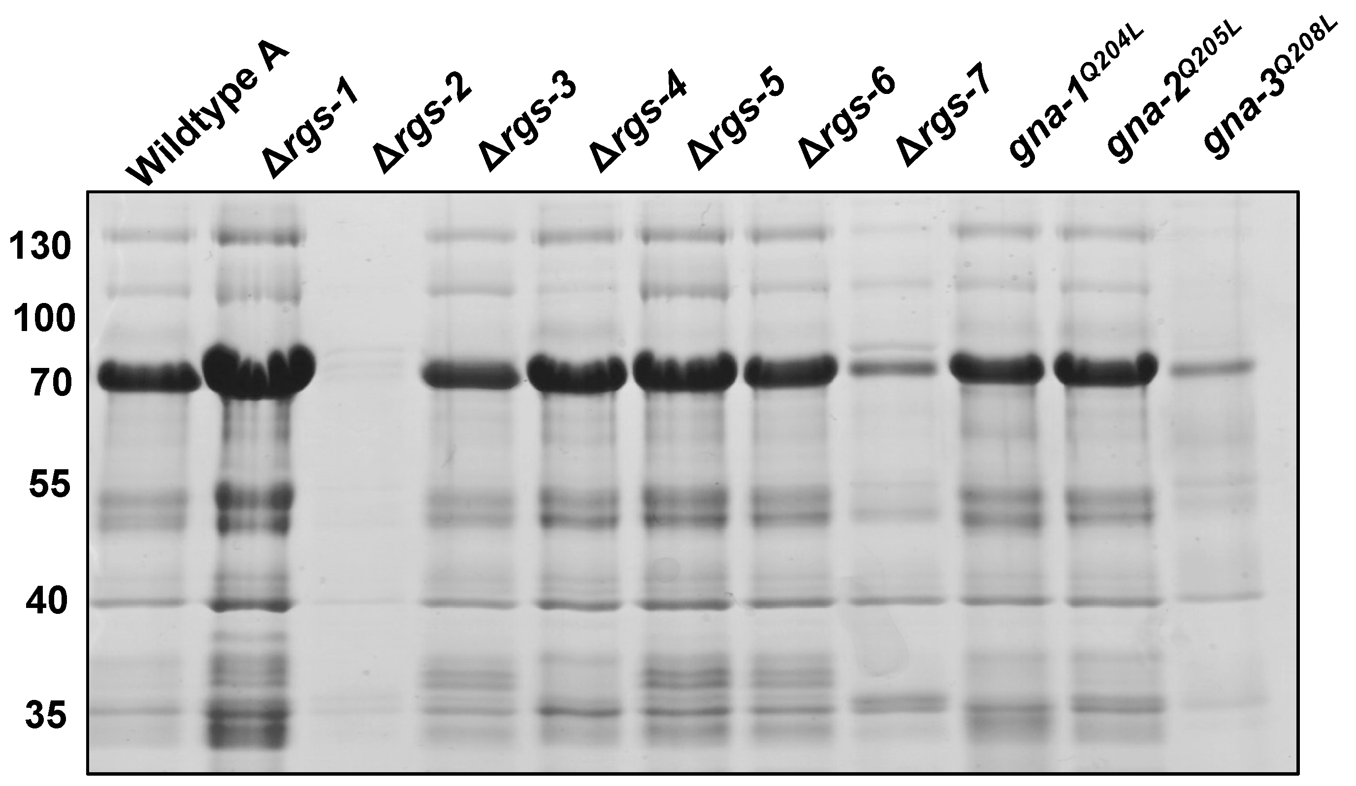 Jof 08 01076 g005 Jof 08 01076 g005