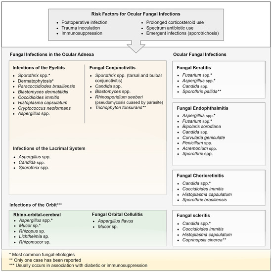 ocular-fungal-infections