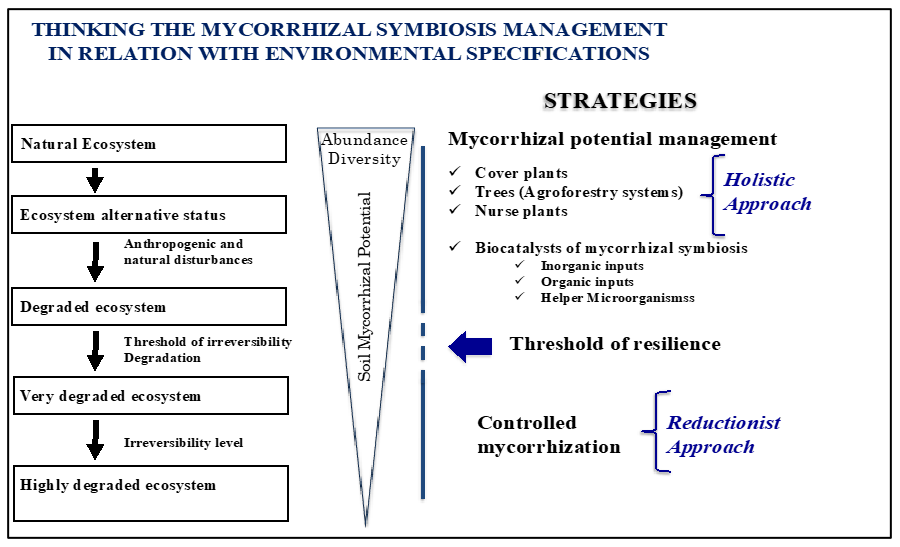 Jof 08 01087 g001 Jof 08 01087 g001