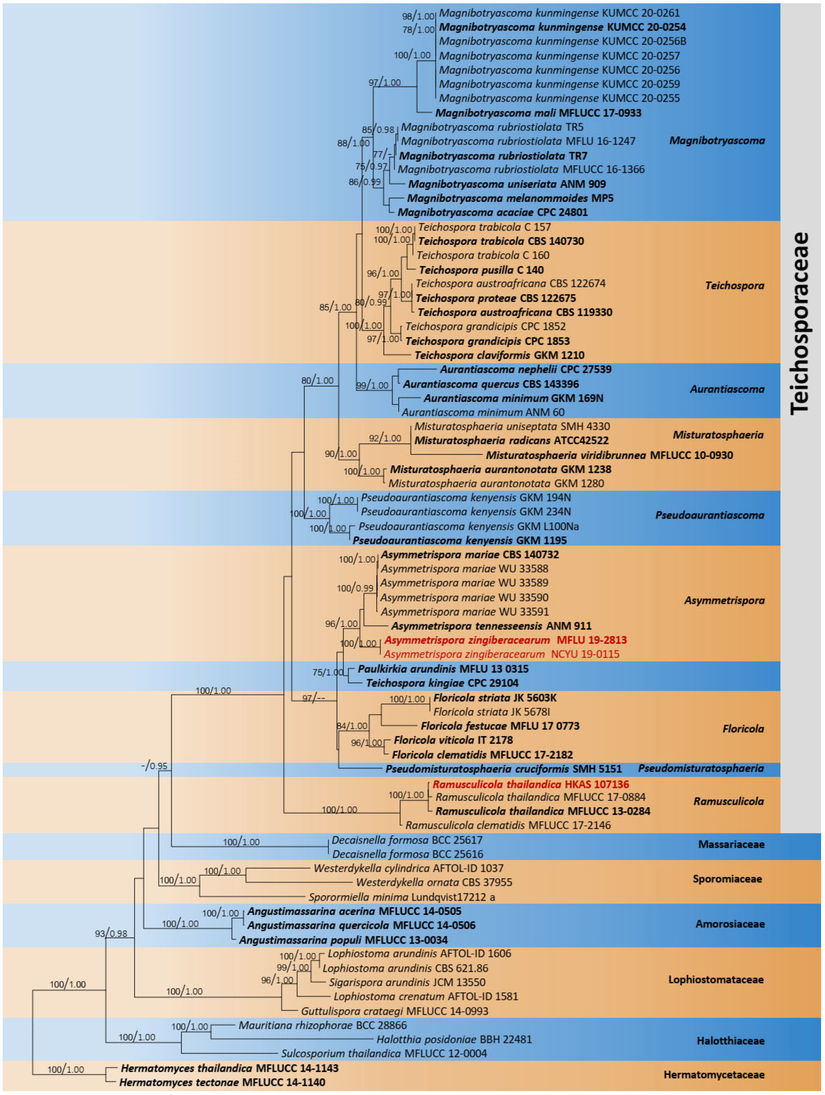 Jof 08 01094 g004 Jof 08 01094 g004