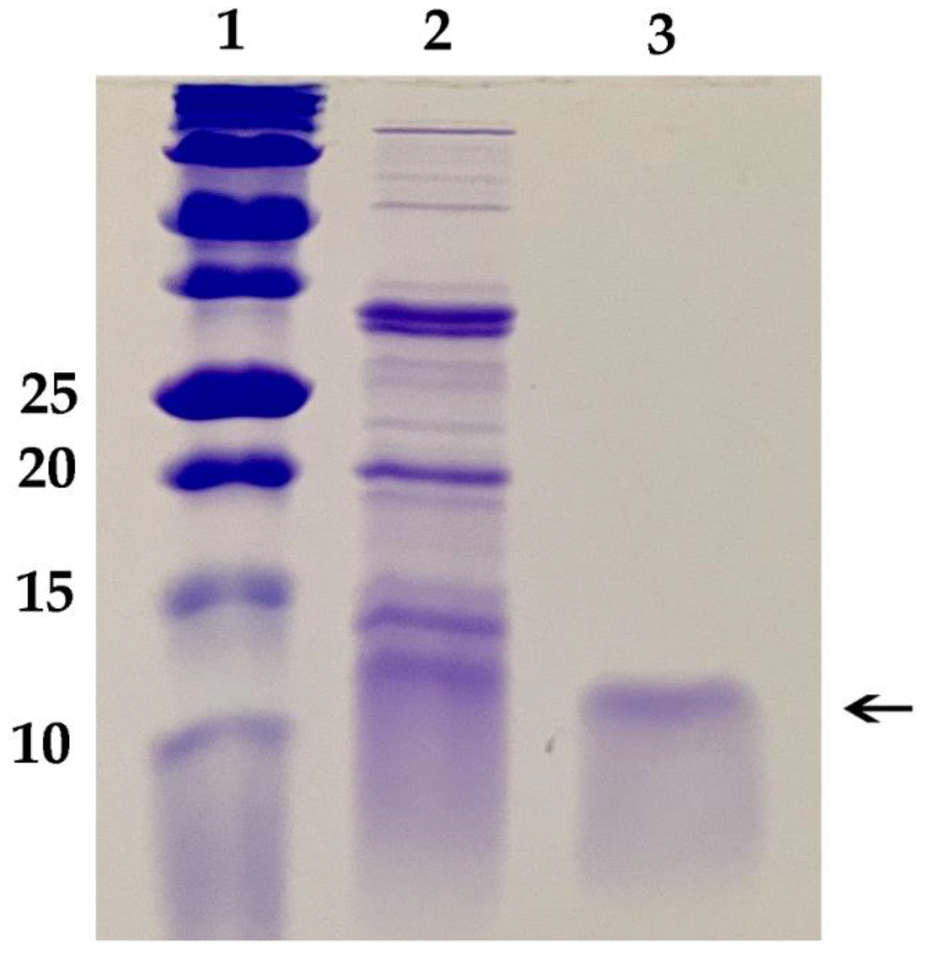 Jof 08 01097 g003 Jof 08 01097 g003