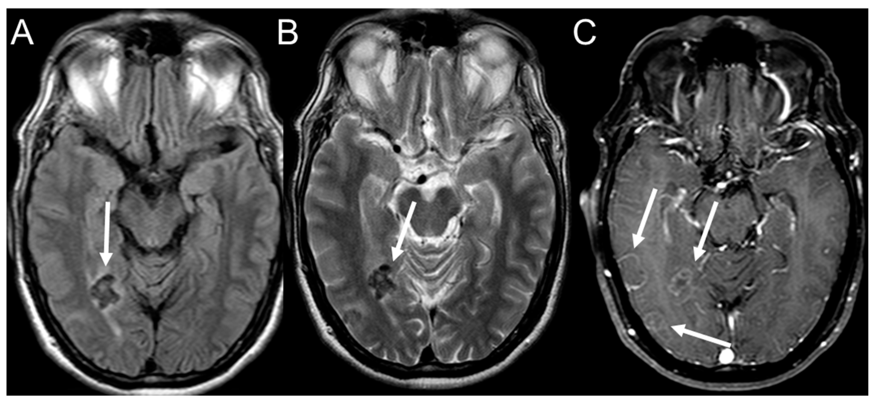 Jof 08 01098 g007 Jof 08 01098 g007