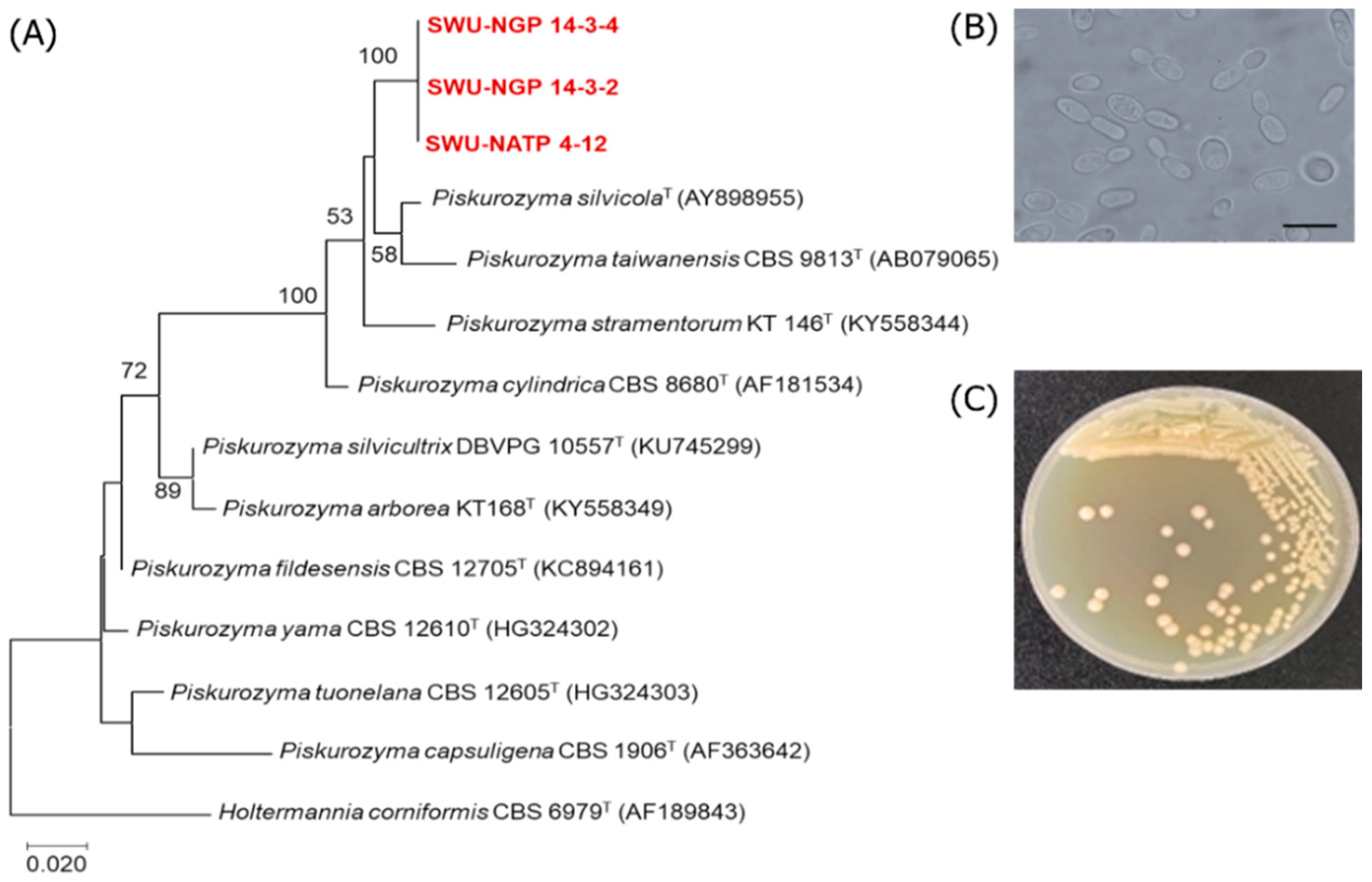 Jof 08 01100 g002 Jof 08 01100 g002