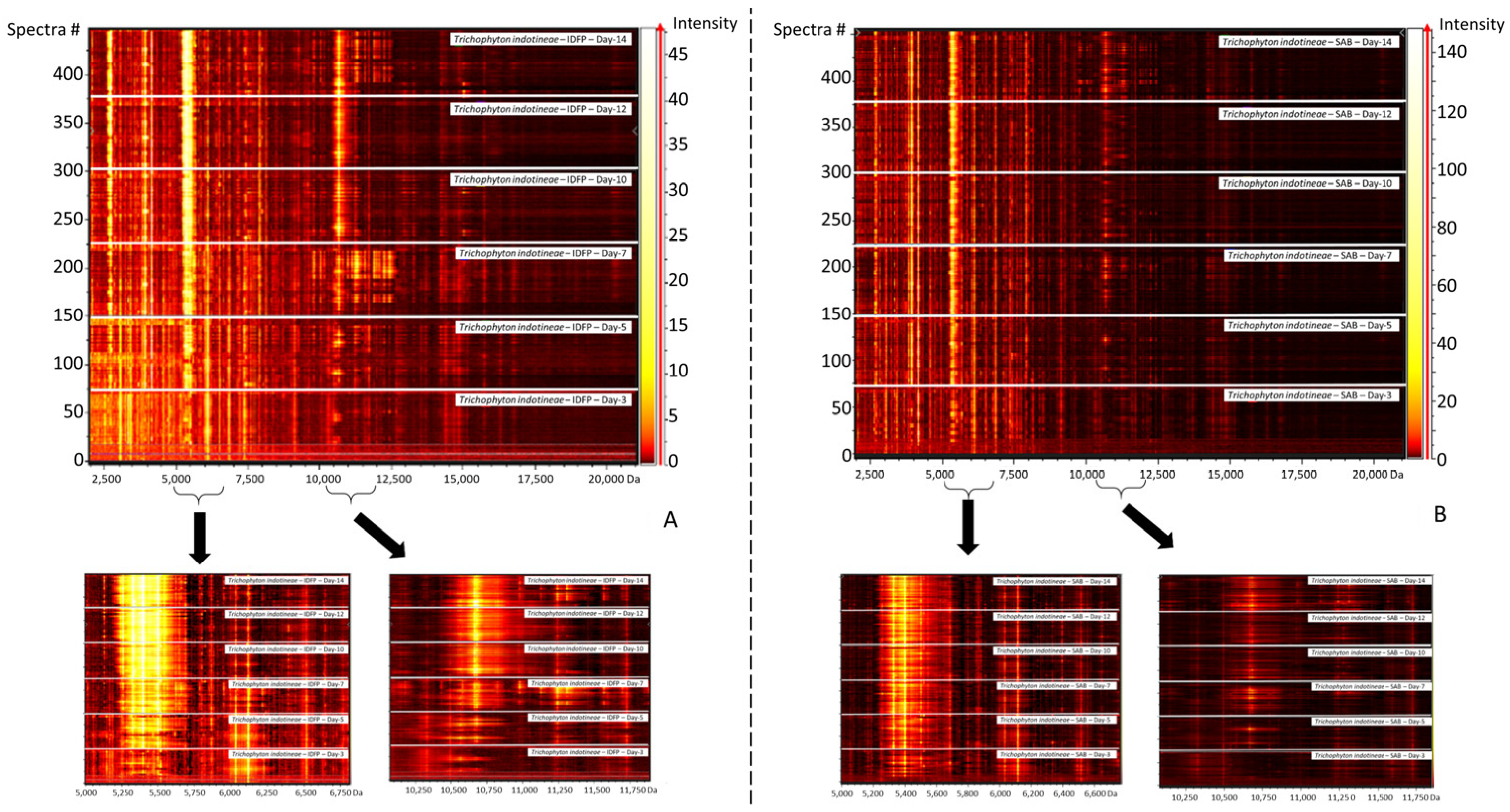 Jof 08 01103 g002 Jof 08 01103 g002