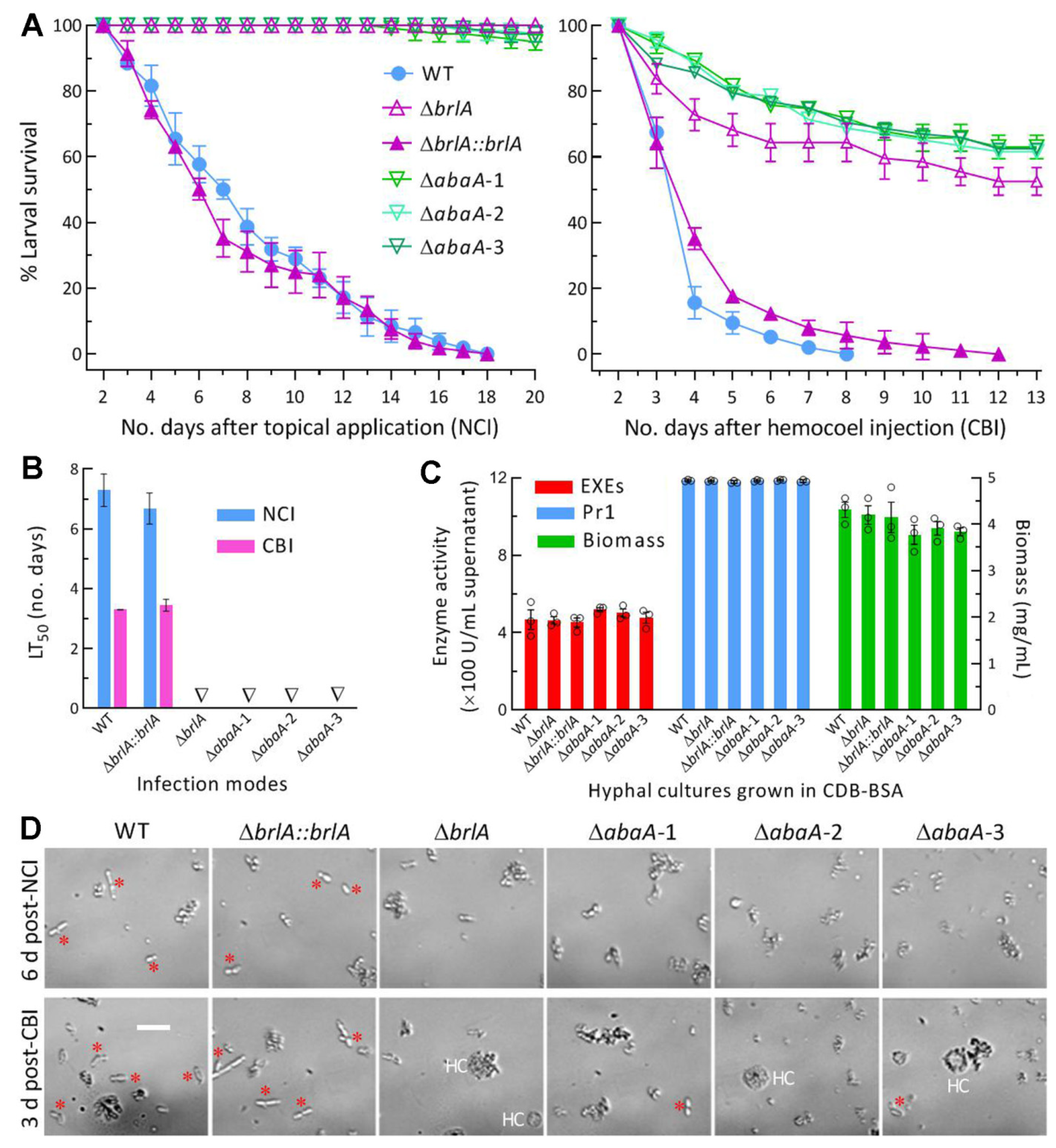 Jof 08 01110 g004 Jof 08 01110 g004