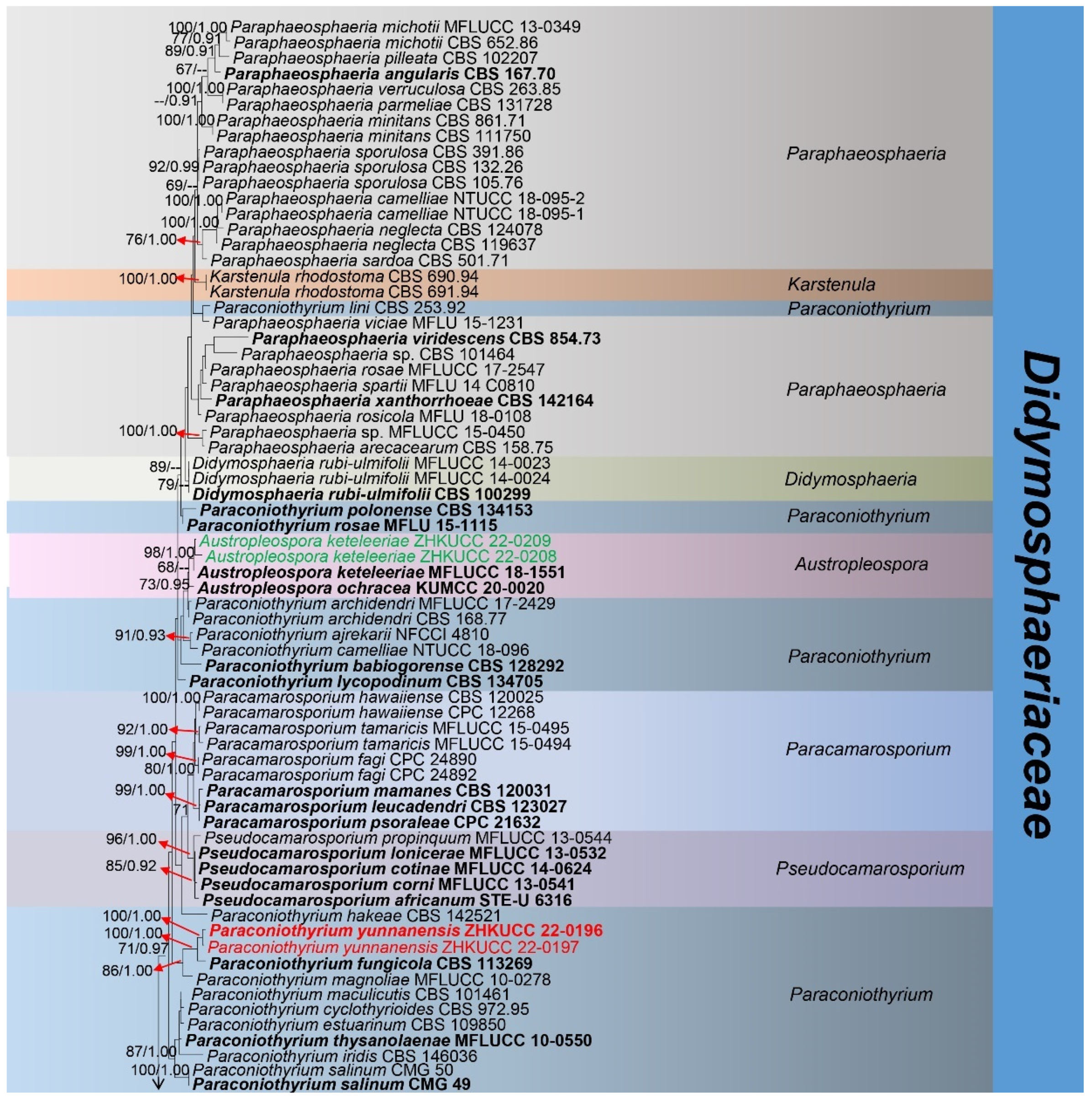 Poroid Fungi of Europe (Synopsis Fungorum Vol. 37) by