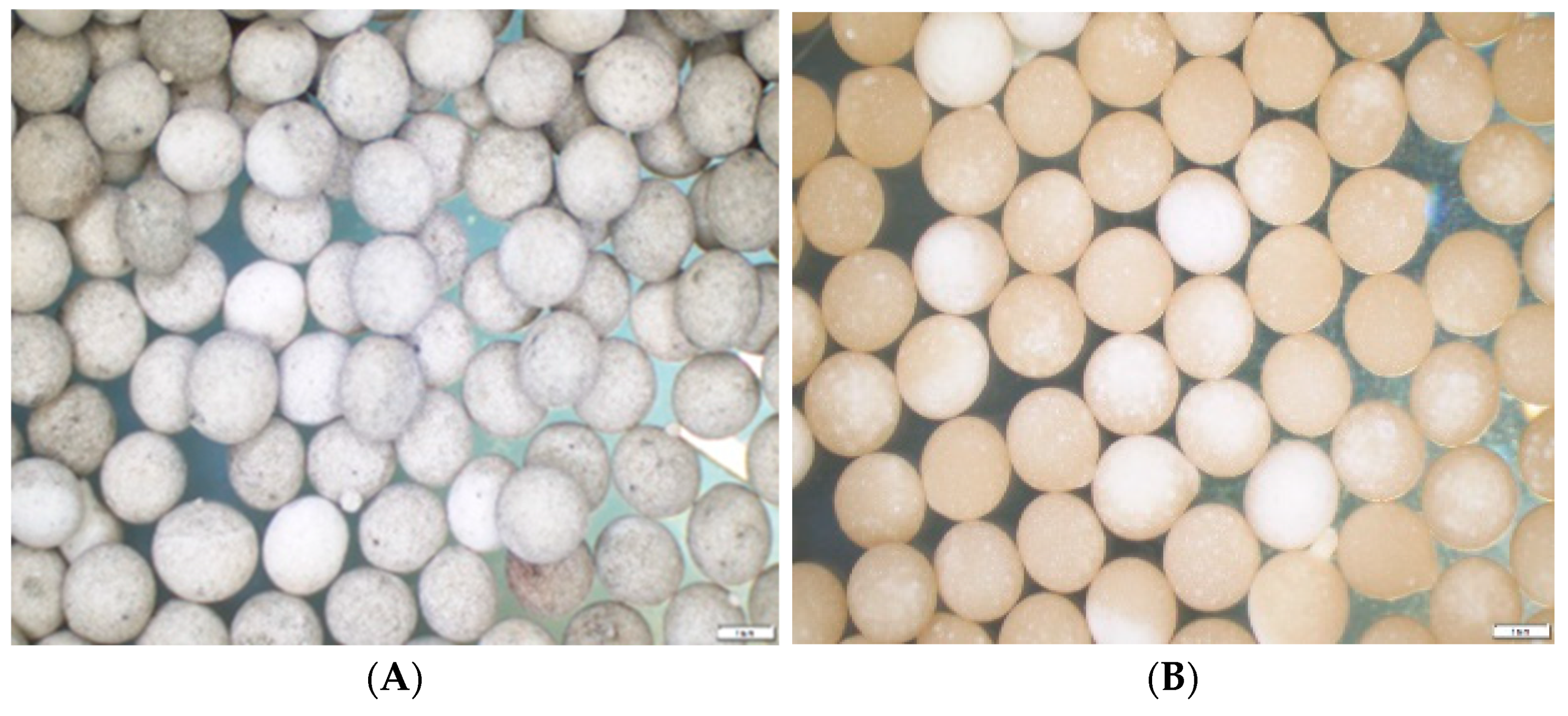 Jof 08 01114 g001 Jof 08 01114 g001