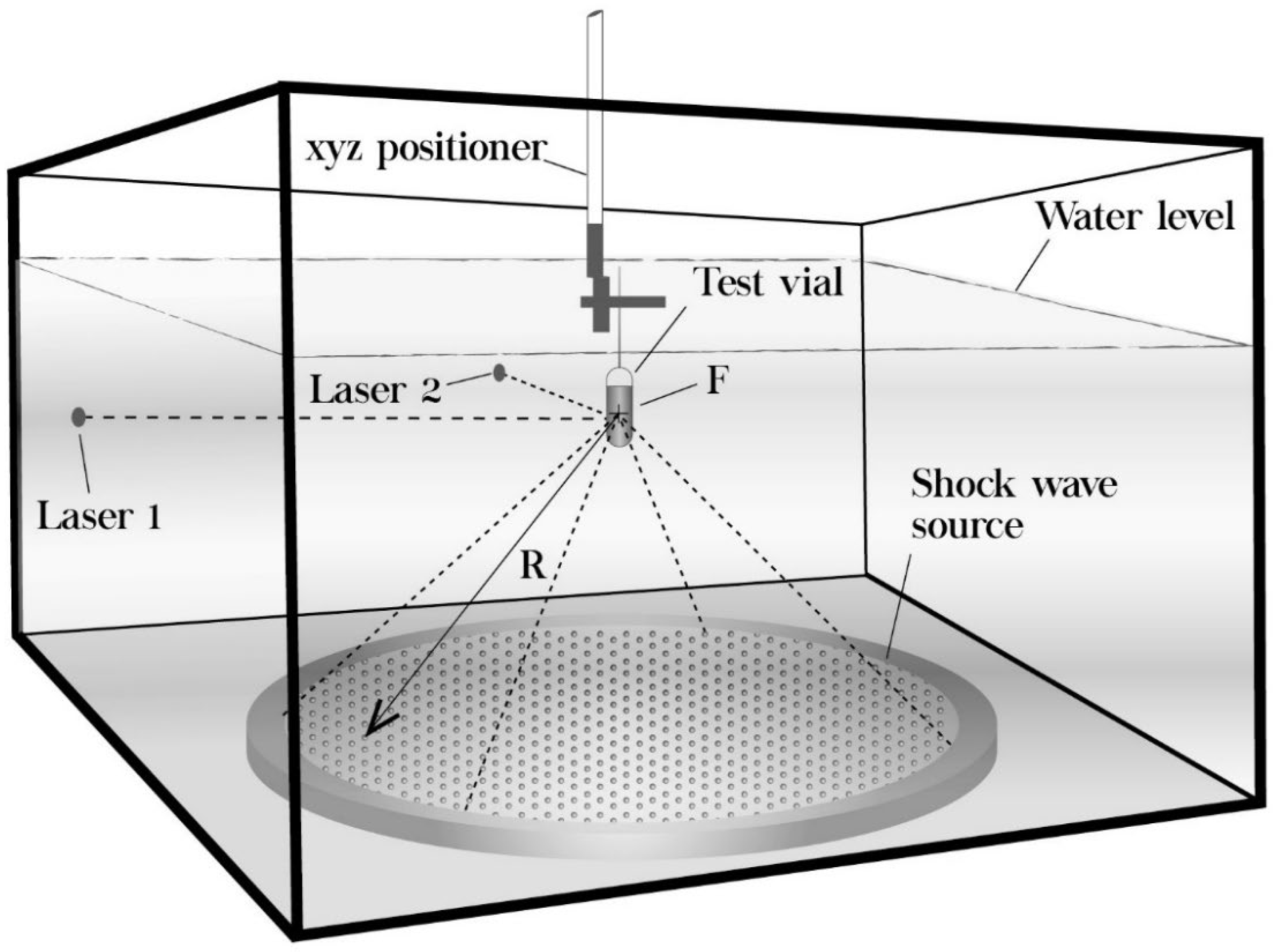 de studie Consequent Berucht JoF | Free Full-Text | Effect of Shock Waves on the Growth of Aspergillus niger Conidia: Evaluation of Germination and Preliminary Study on Gene Expression de studie Consequent Berucht JoF | Free Full-Text | Effect of Shock Waves on the Growth of Aspergillus niger Conidia: Evaluation of Germination and Preliminary Study on Gene Expression
