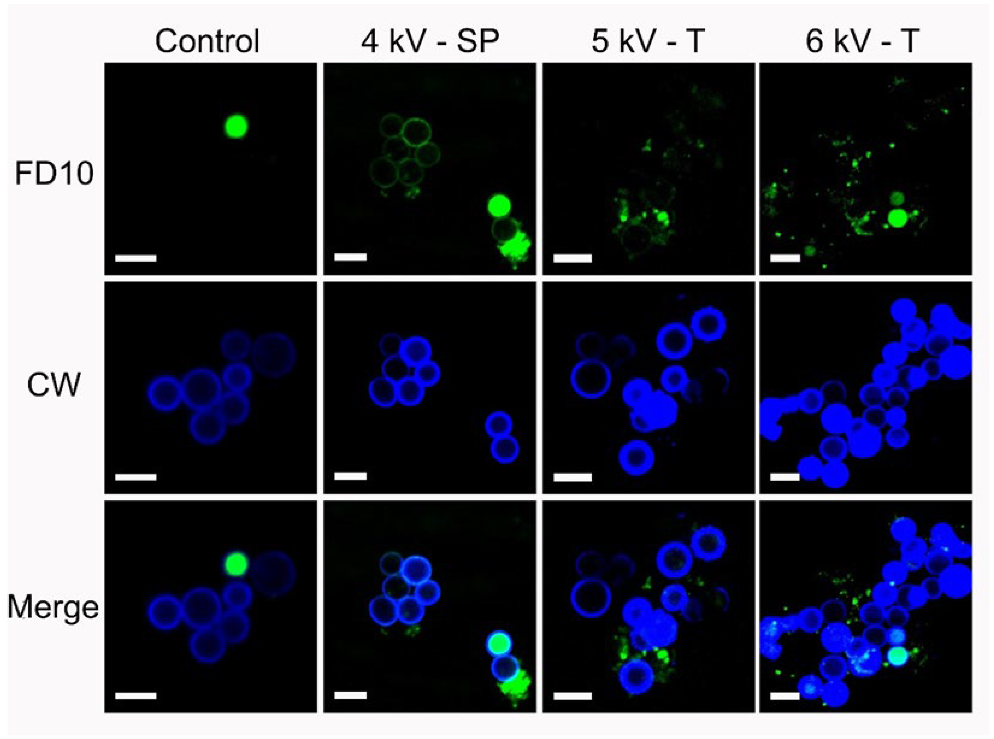 Jof 08 01117 g006 Jof 08 01117 g006