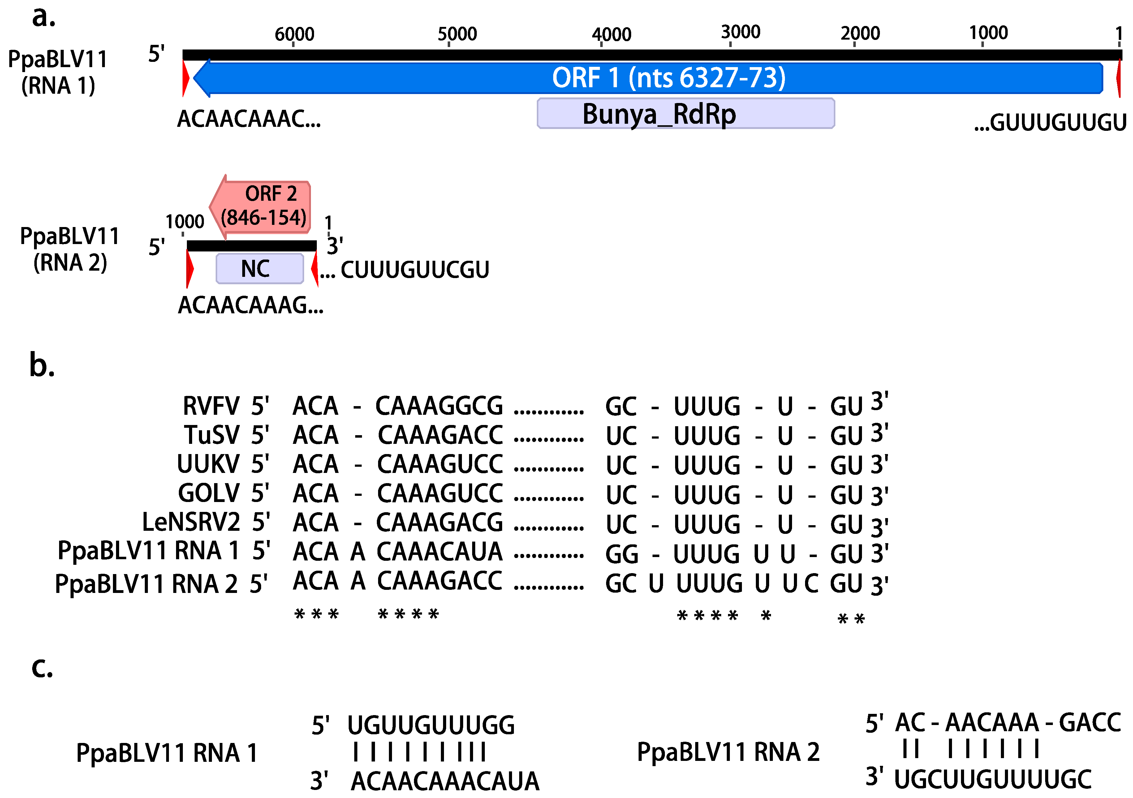 Jof 08 01118 g001 Jof 08 01118 g001