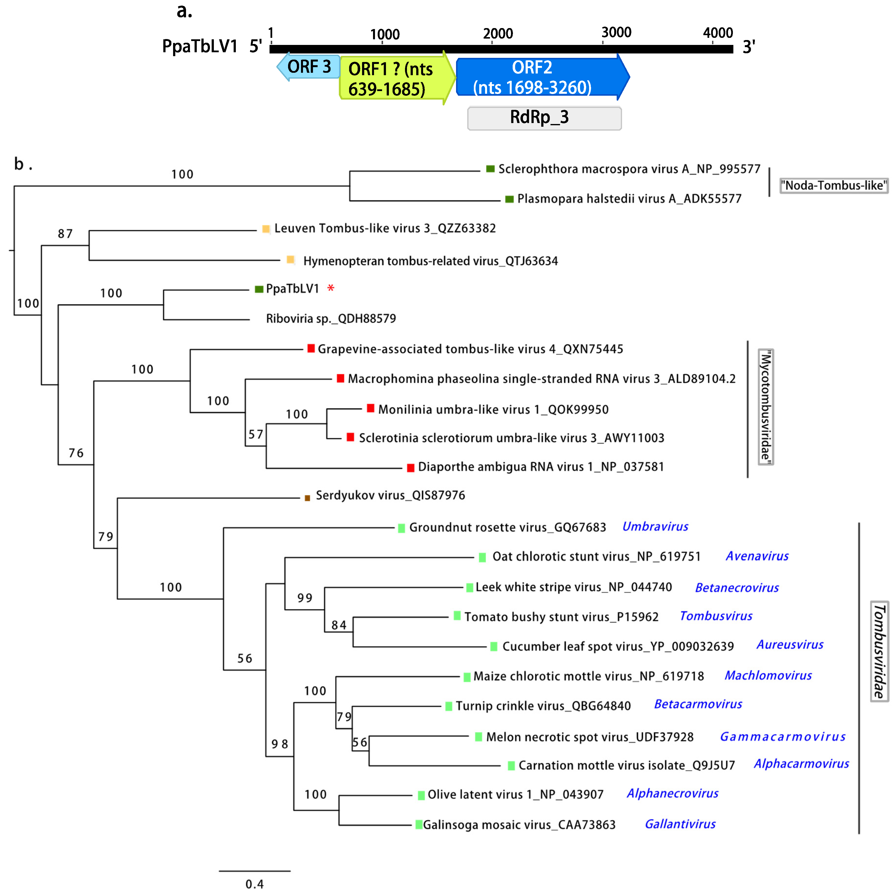 Jof 08 01118 g003 Jof 08 01118 g003