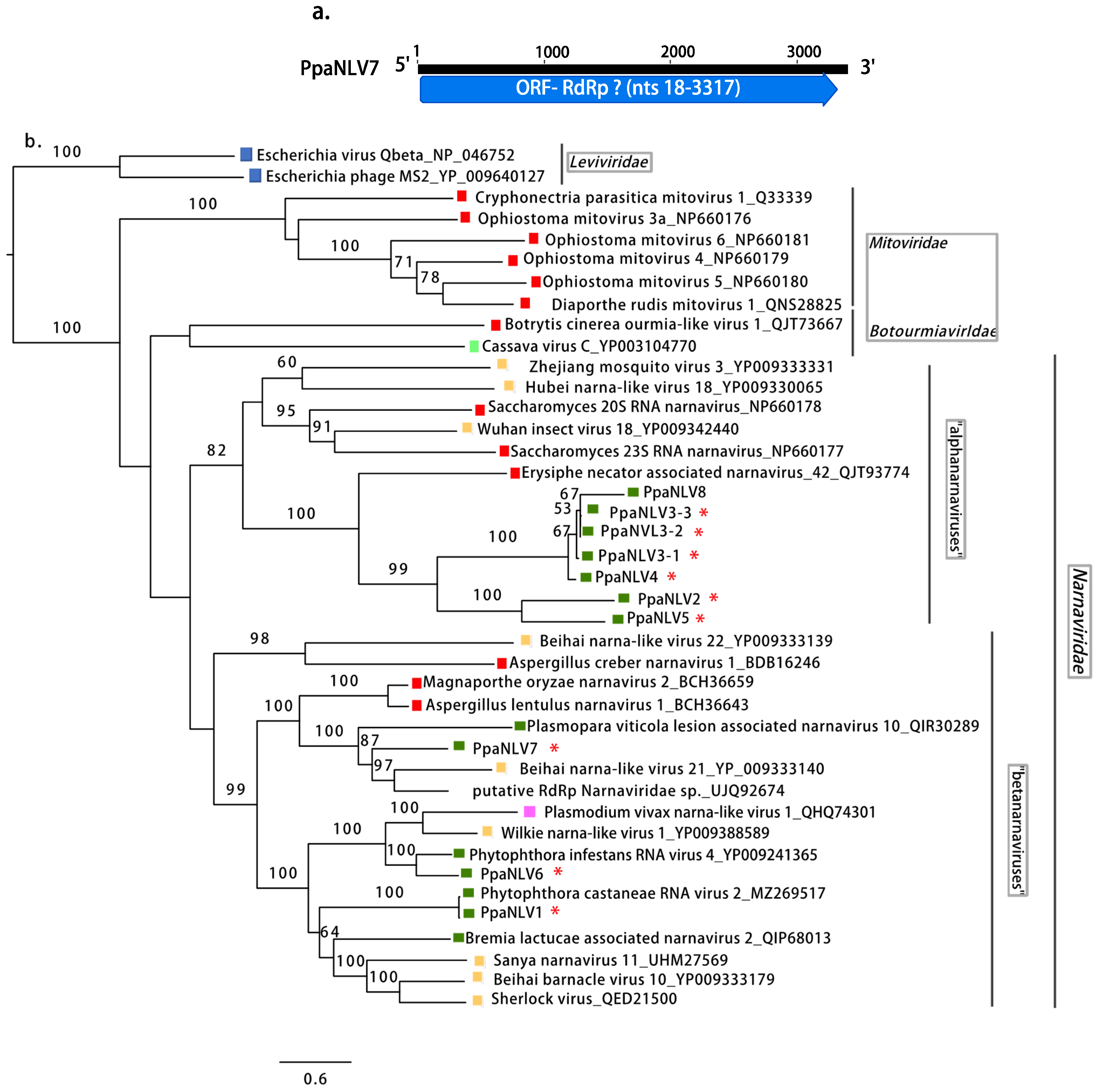 Jof 08 01118 g004 Jof 08 01118 g004