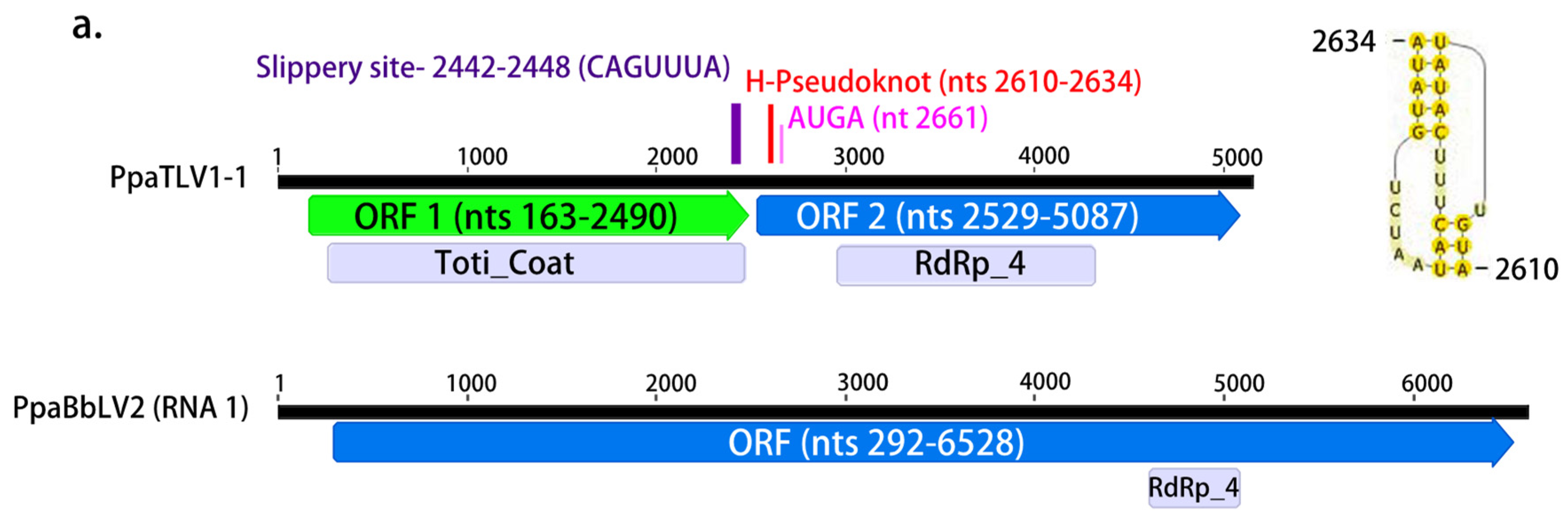 Jof 08 01118 g005a Jof 08 01118 g005a