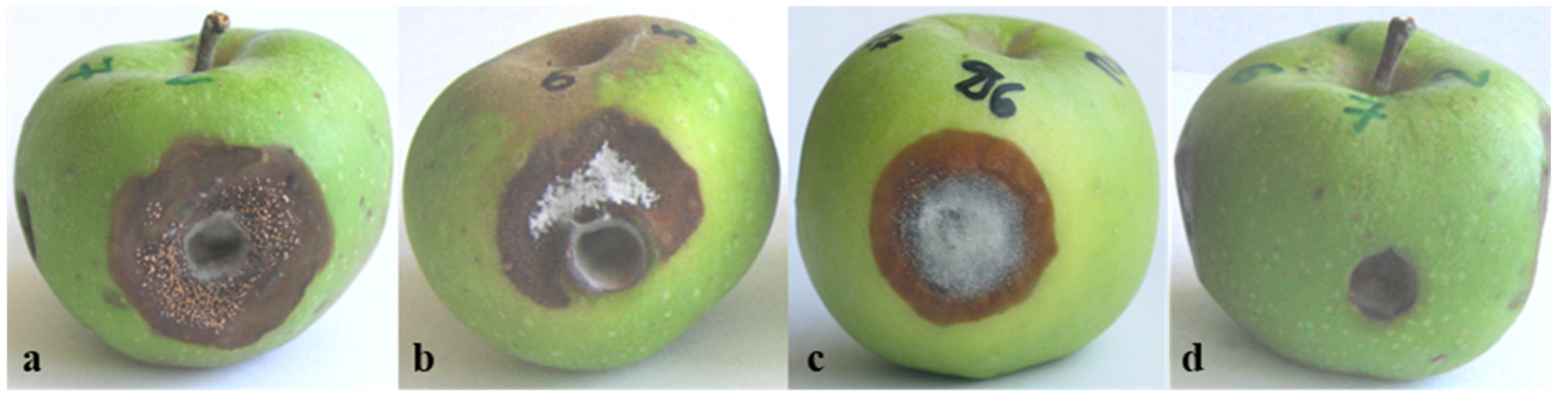 Jof 08 01123 g005 Jof 08 01123 g005