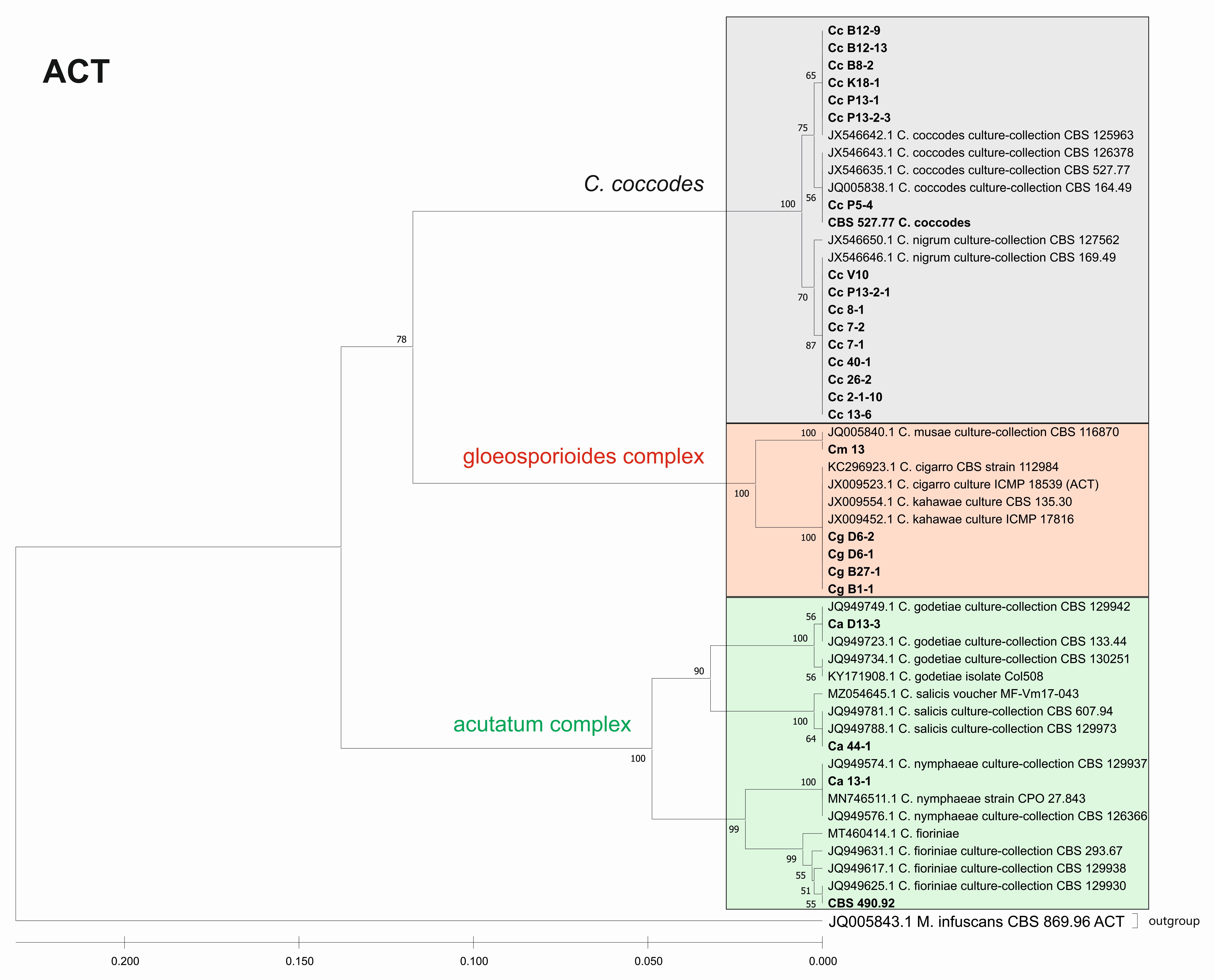 Jof 08 01123 g007 Jof 08 01123 g007