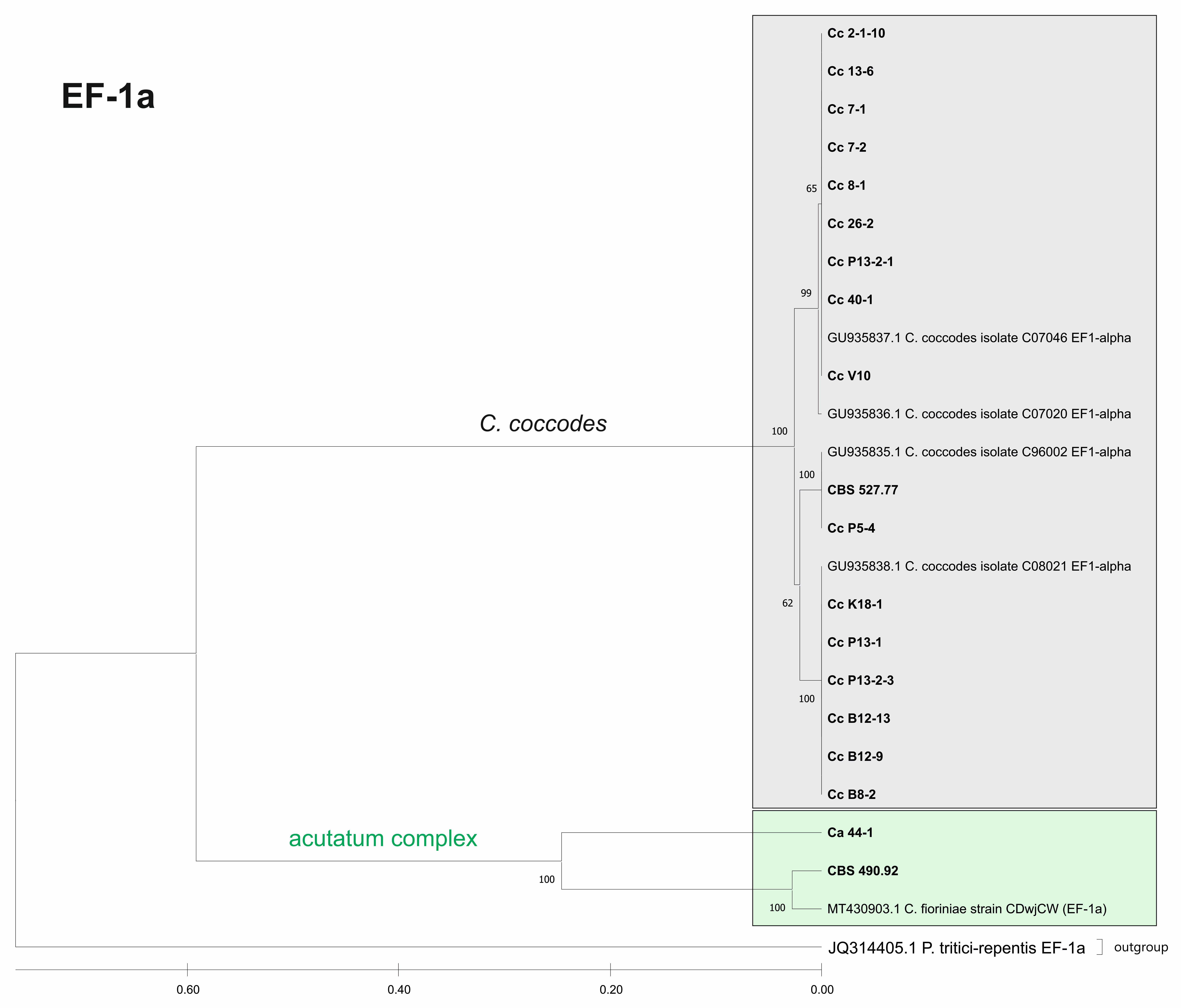 Jof 08 01123 g008 Jof 08 01123 g008