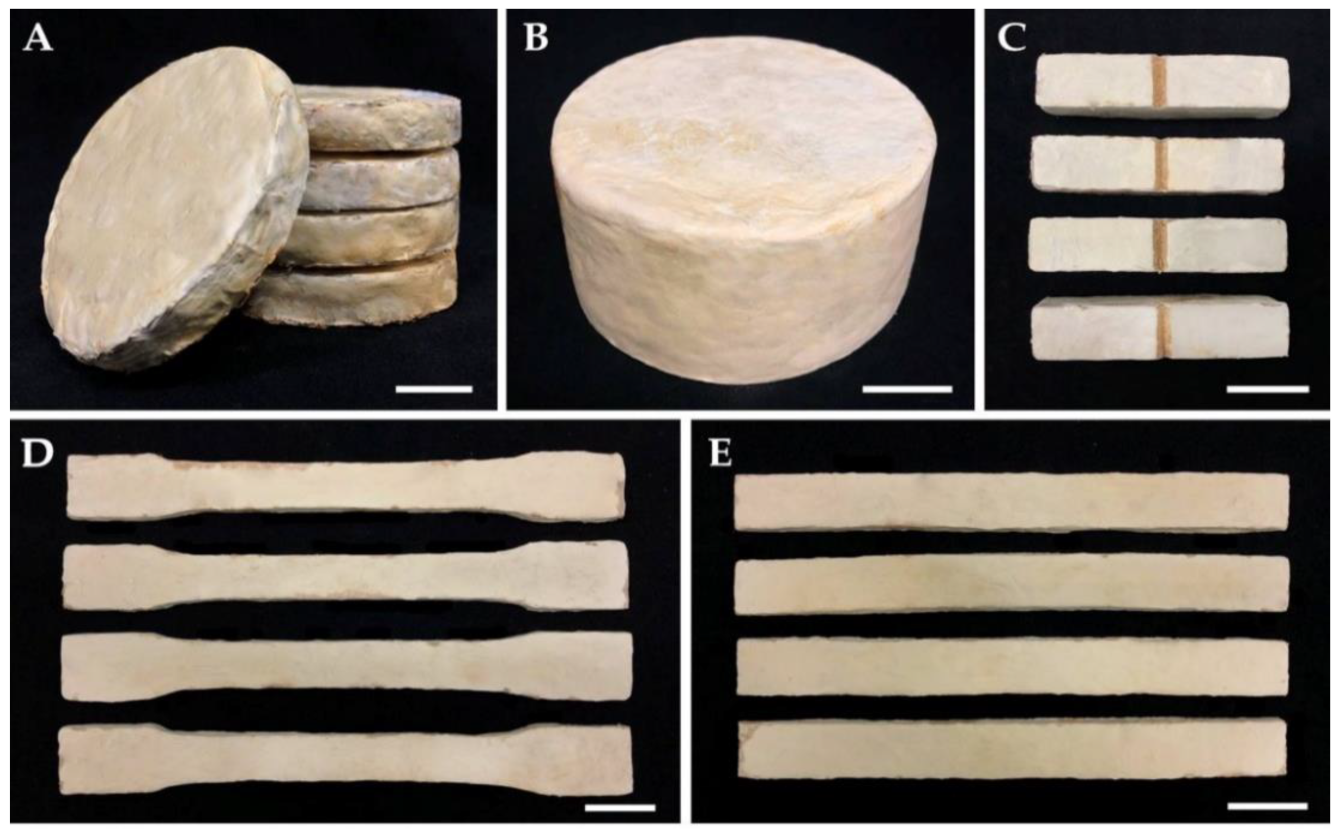 Jof 08 01125 g001 Jof 08 01125 g001