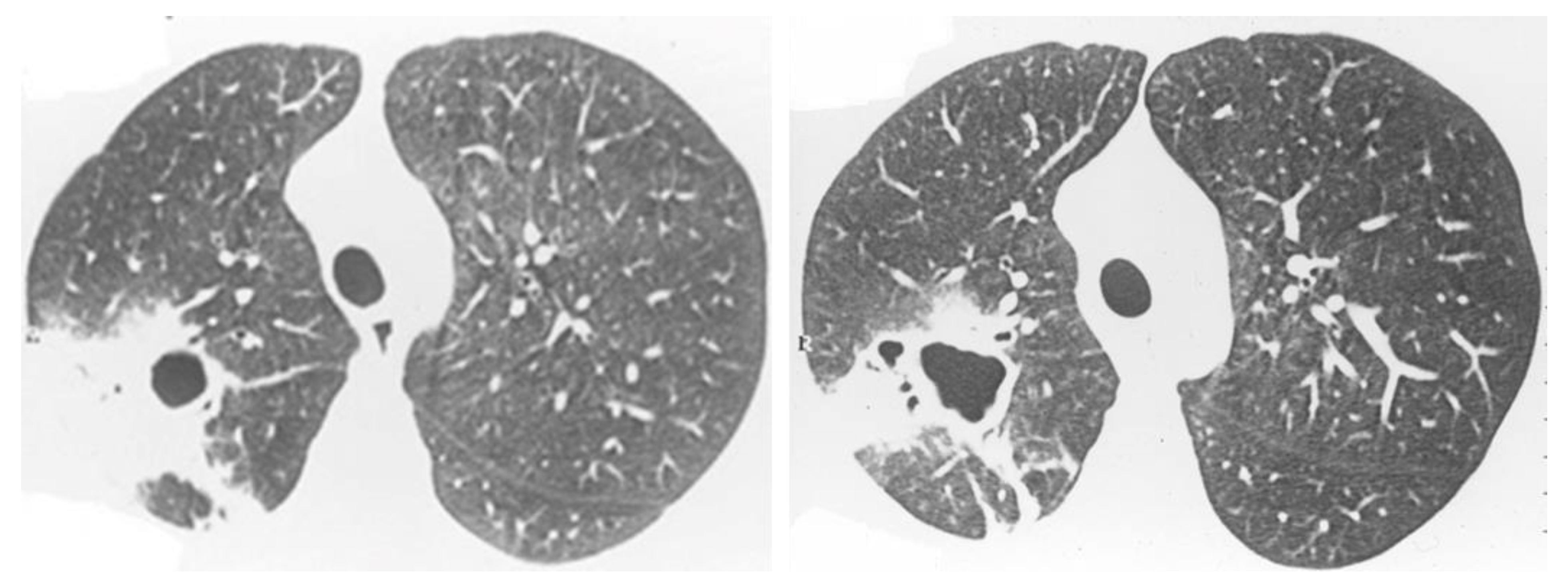 Jof 08 01132 g009 Jof 08 01132 g009