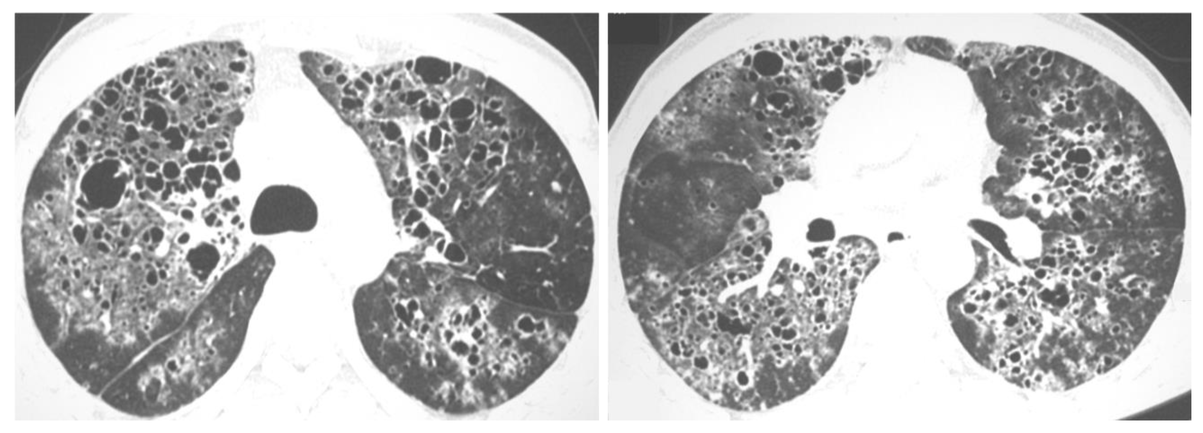 Jof 08 01132 g011 Jof 08 01132 g011