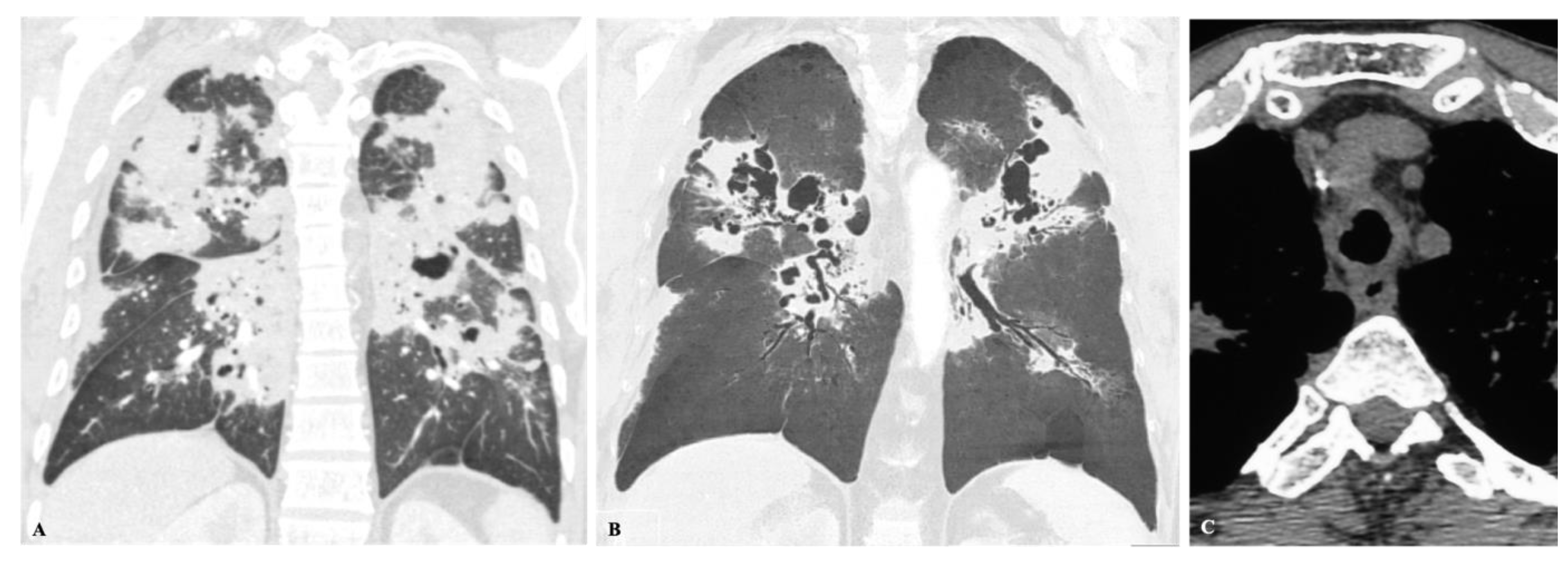 Jof 08 01132 g013 Jof 08 01132 g013