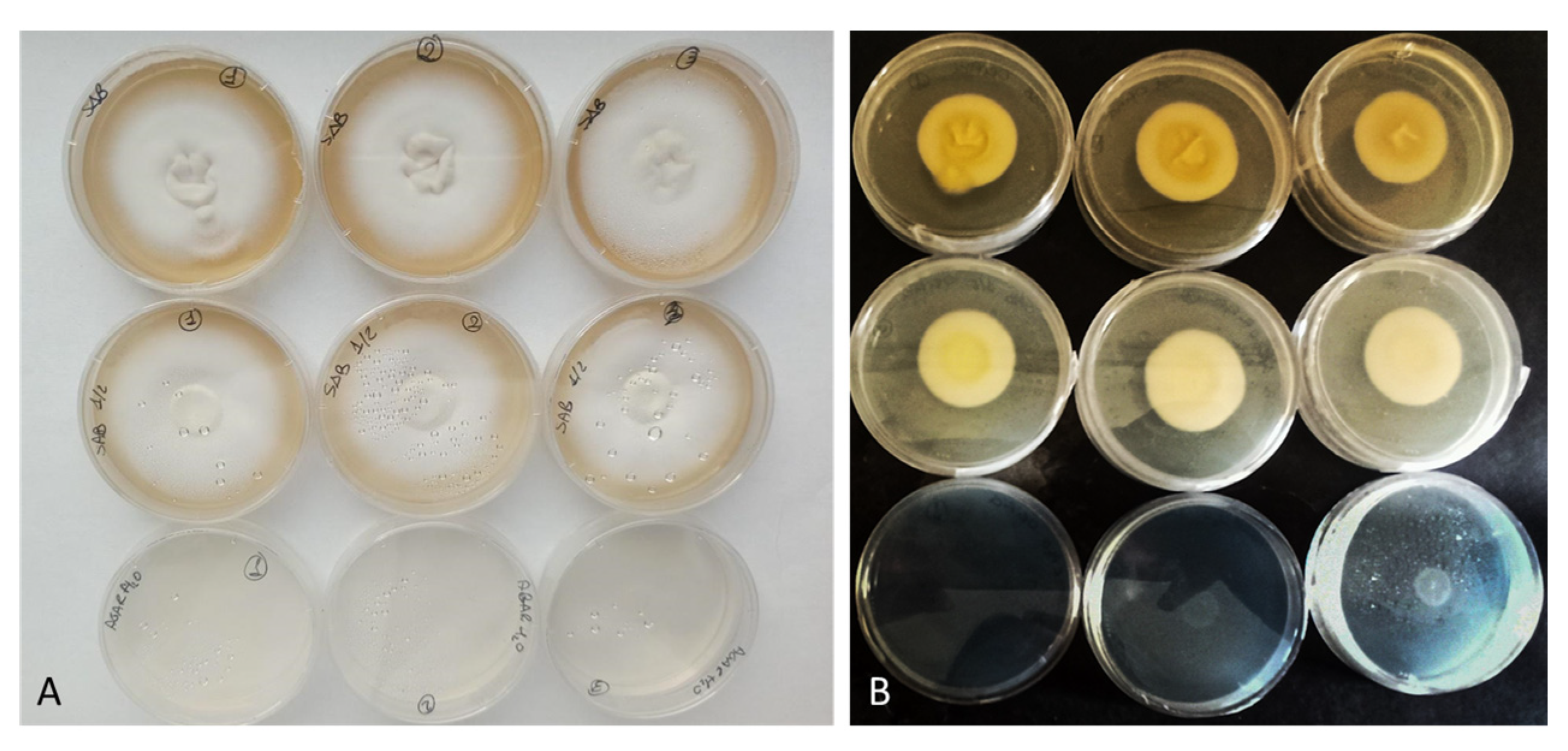 Jof 08 01133 g002 Jof 08 01133 g002