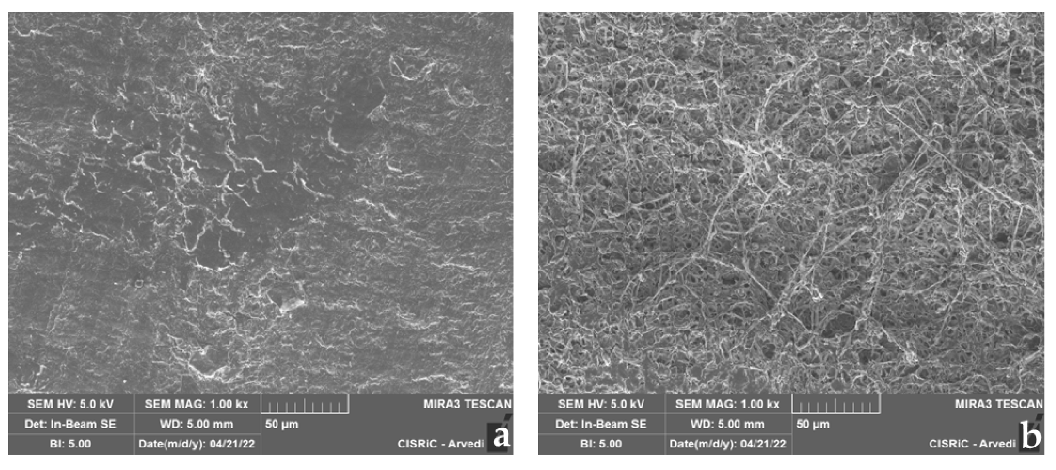 Jof 08 01133 g010 Jof 08 01133 g010