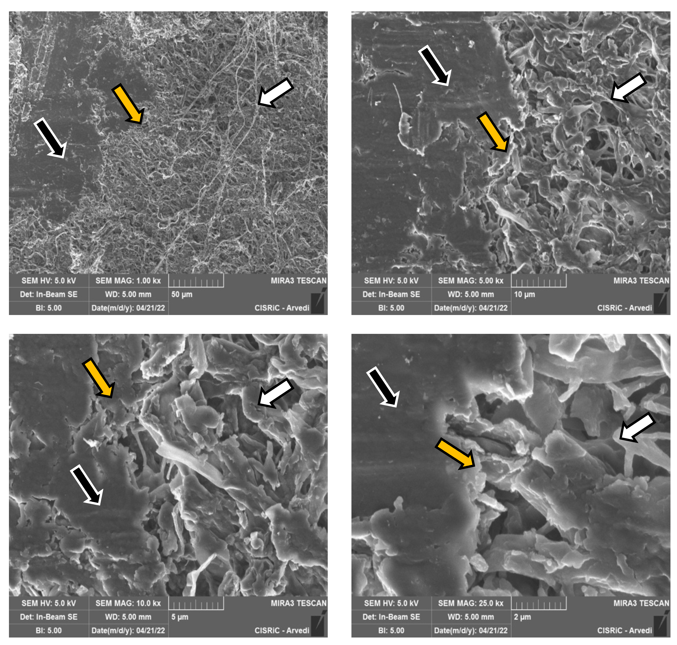 Jof 08 01133 g011 Jof 08 01133 g011