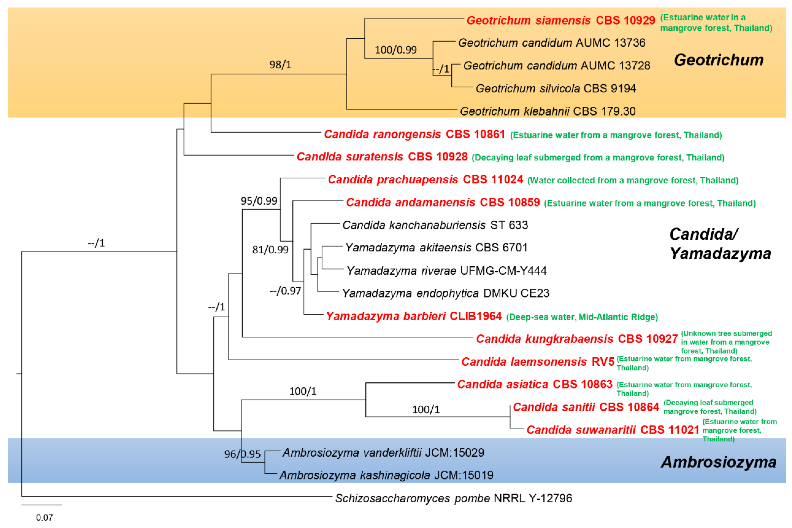 Jof 08 01141 g002 Jof 08 01141 g002