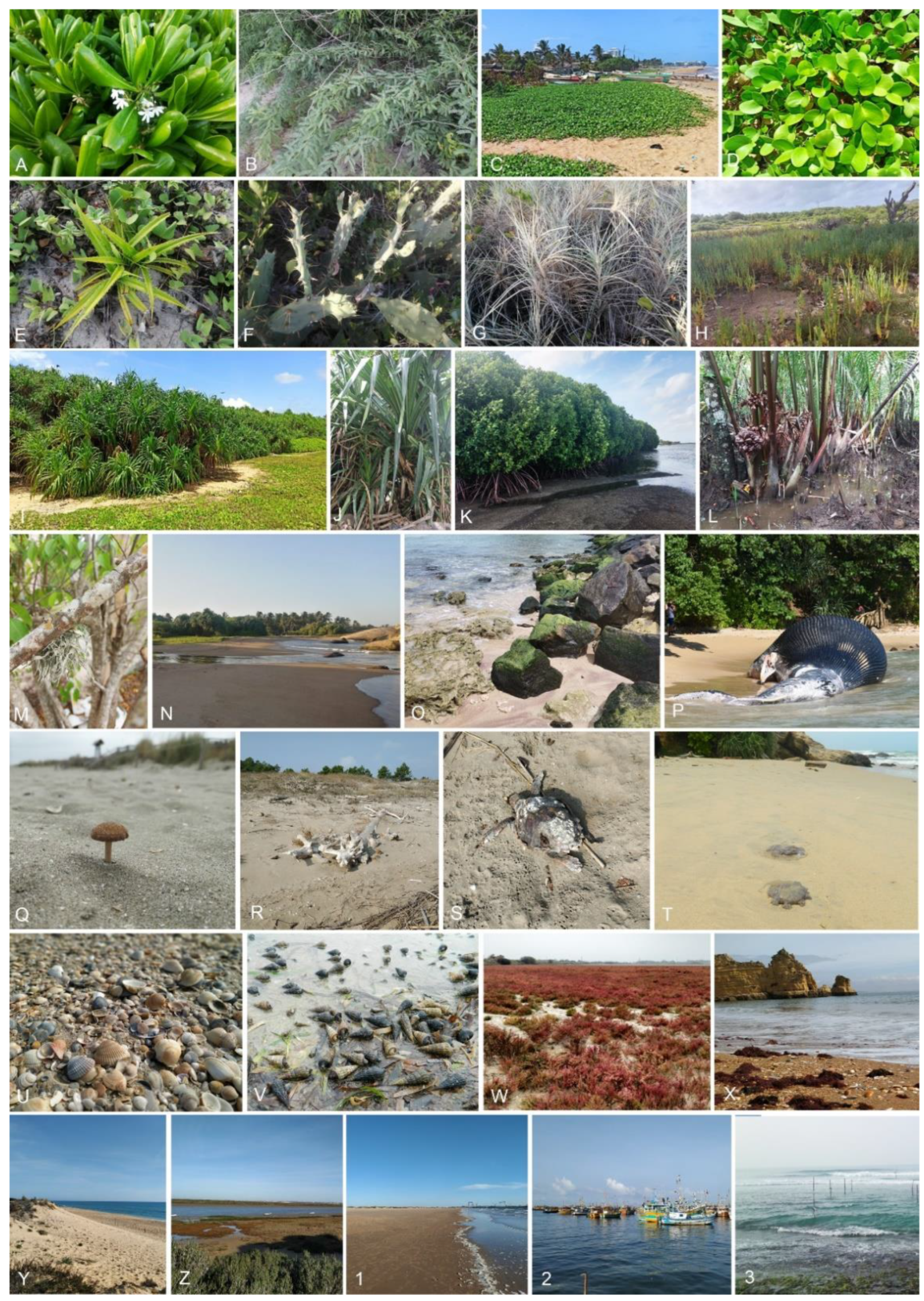 Jof 08 01141 g004 Jof 08 01141 g004