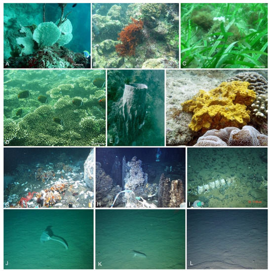 JoF Free FullText Ecological and Oceanographic Perspectives in