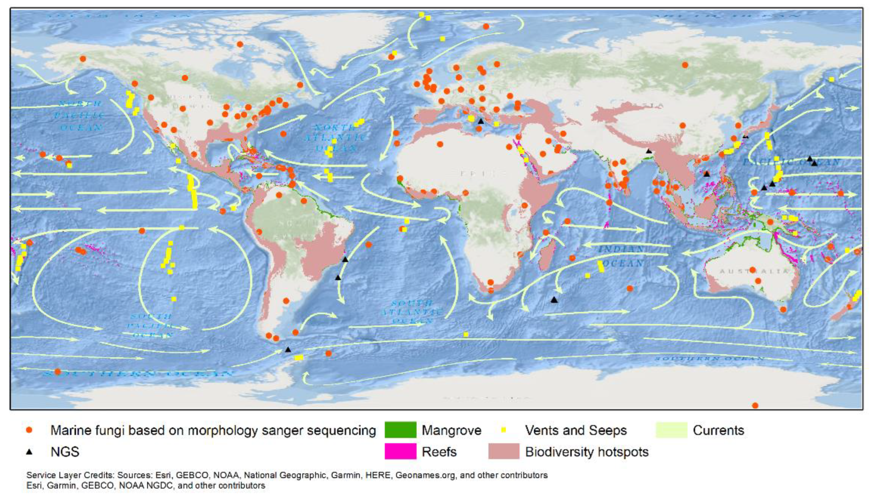 Jof 08 01141 g006 Jof 08 01141 g006