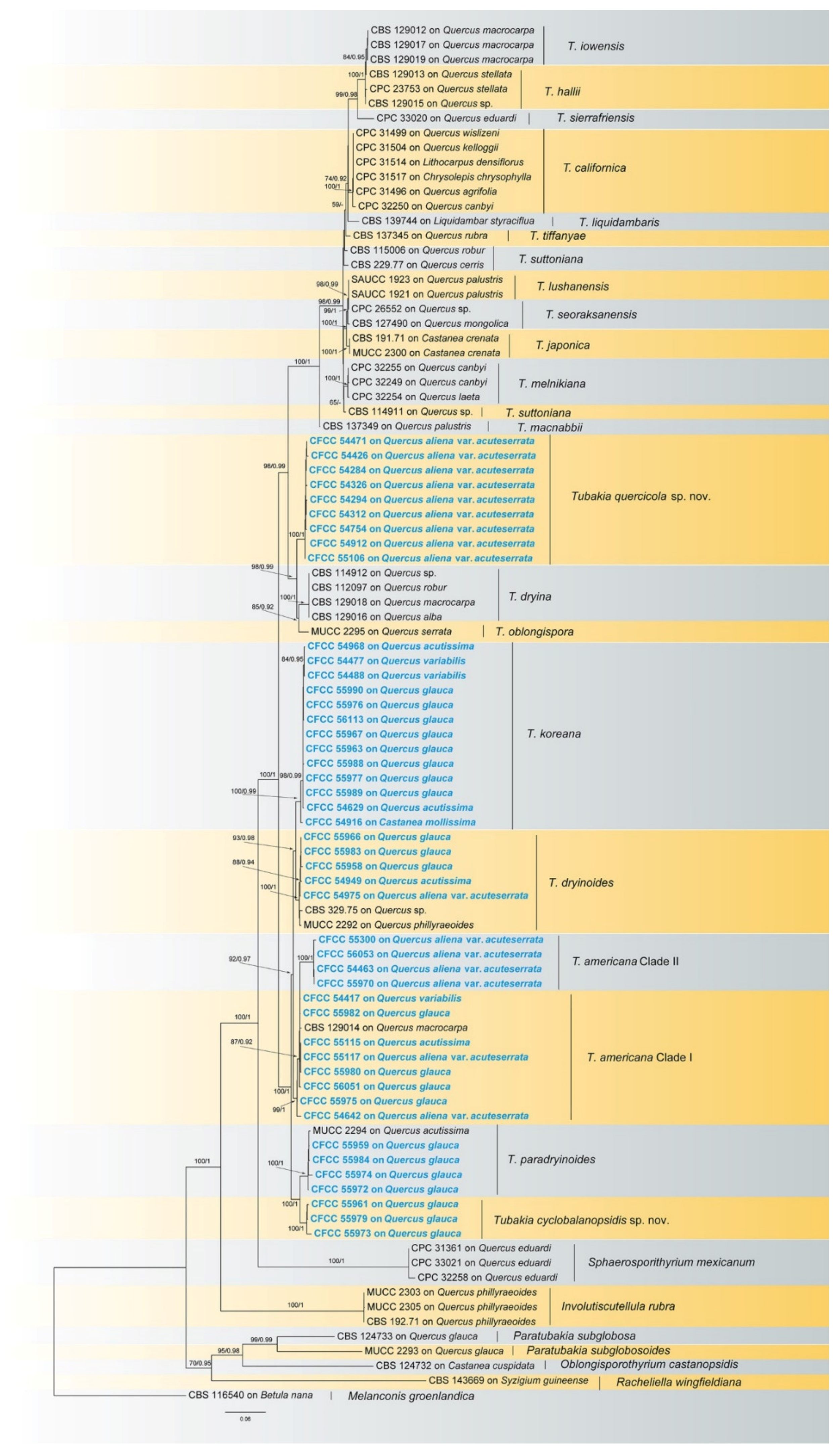 Jof 08 01143 g001 Jof 08 01143 g001