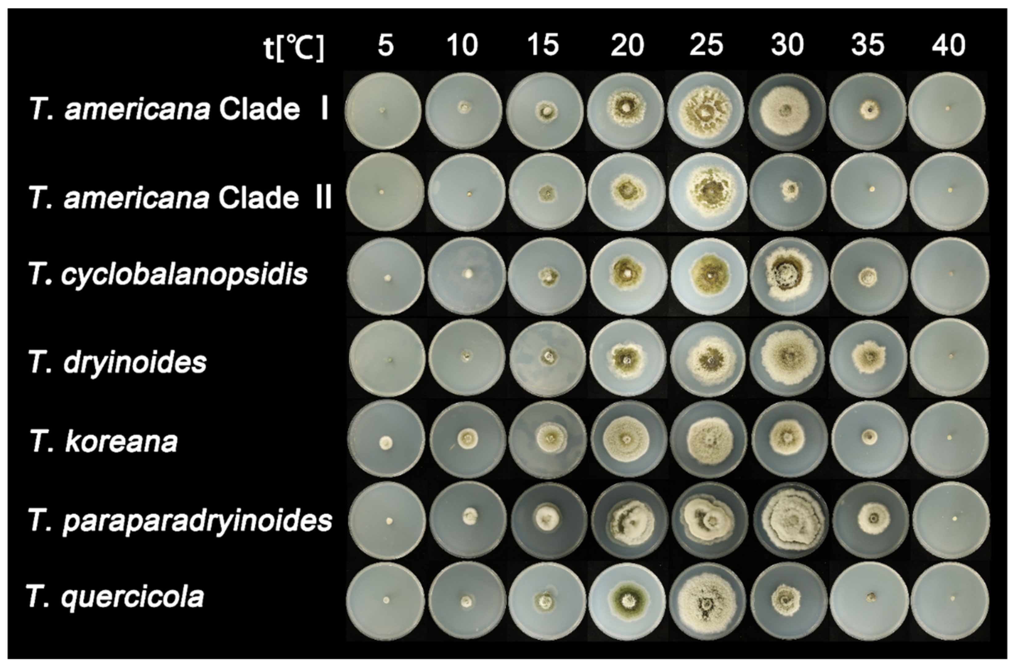 Jof 08 01143 g002 Jof 08 01143 g002