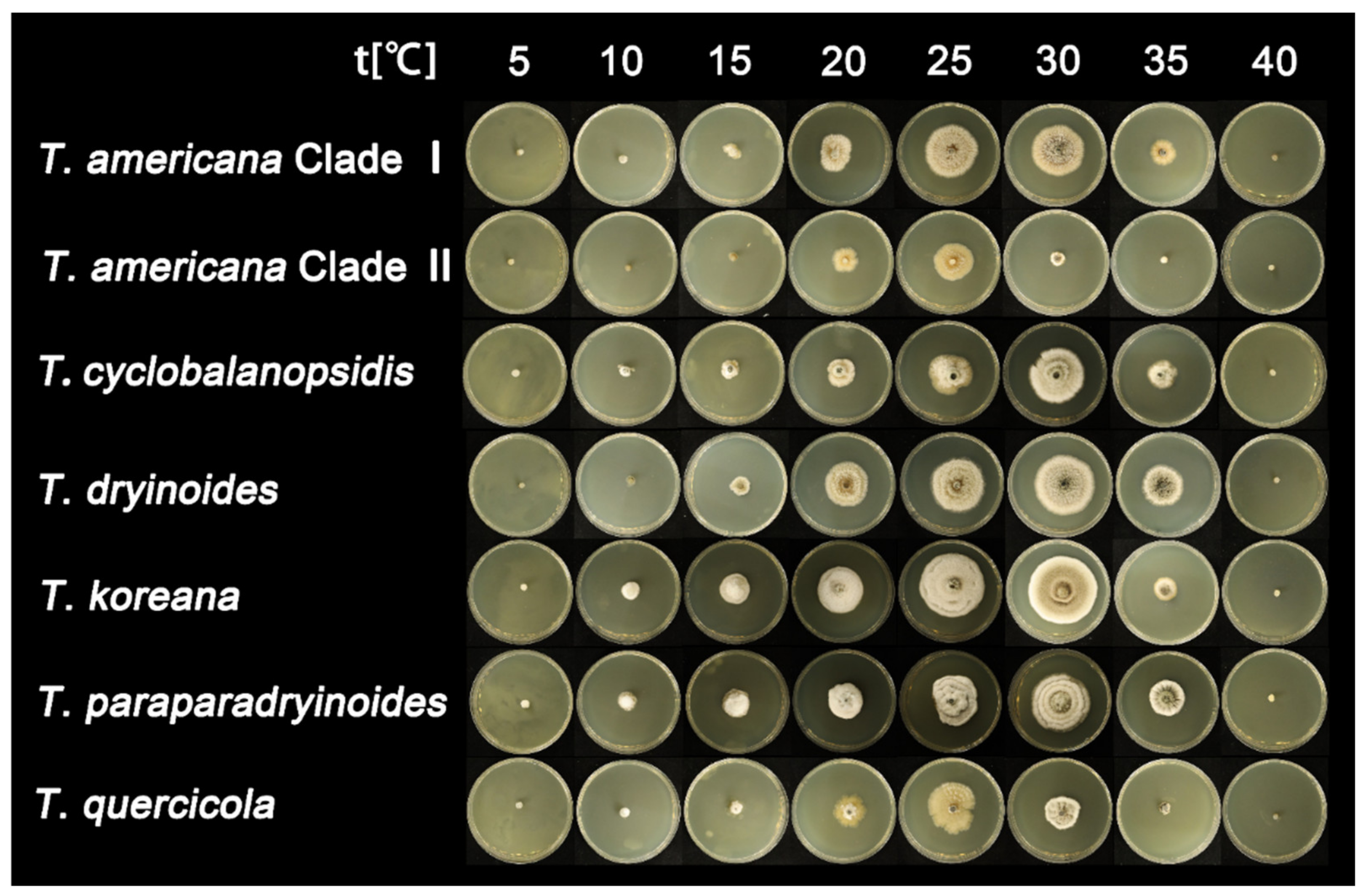 Jof 08 01143 g003 Jof 08 01143 g003