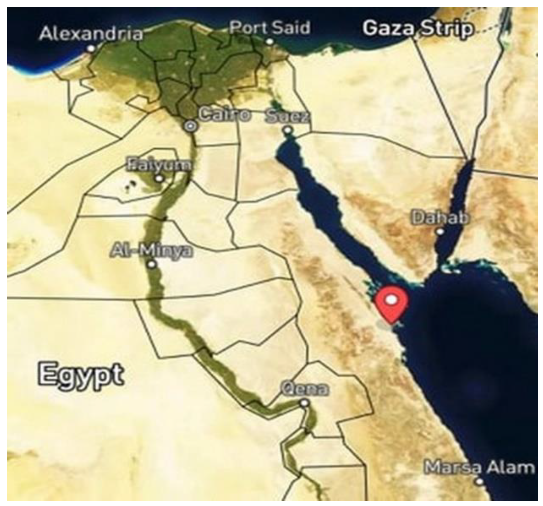 Jof 08 01149 g001 Jof 08 01149 g001